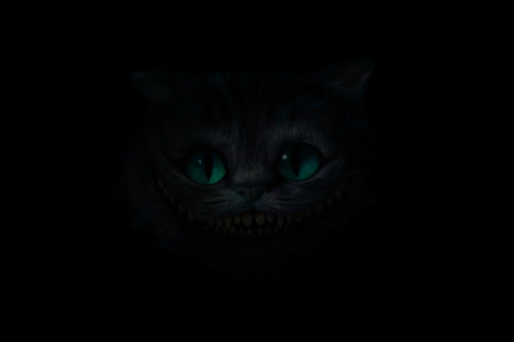 1800x1200 Download Wallpaper, Download 1800x1200 alice in wonderland cheshire cat 1800x1200 wallpaper Animals HD Wallpaper, Hi Res Animals Wallpaper, High Definition Wallpaper