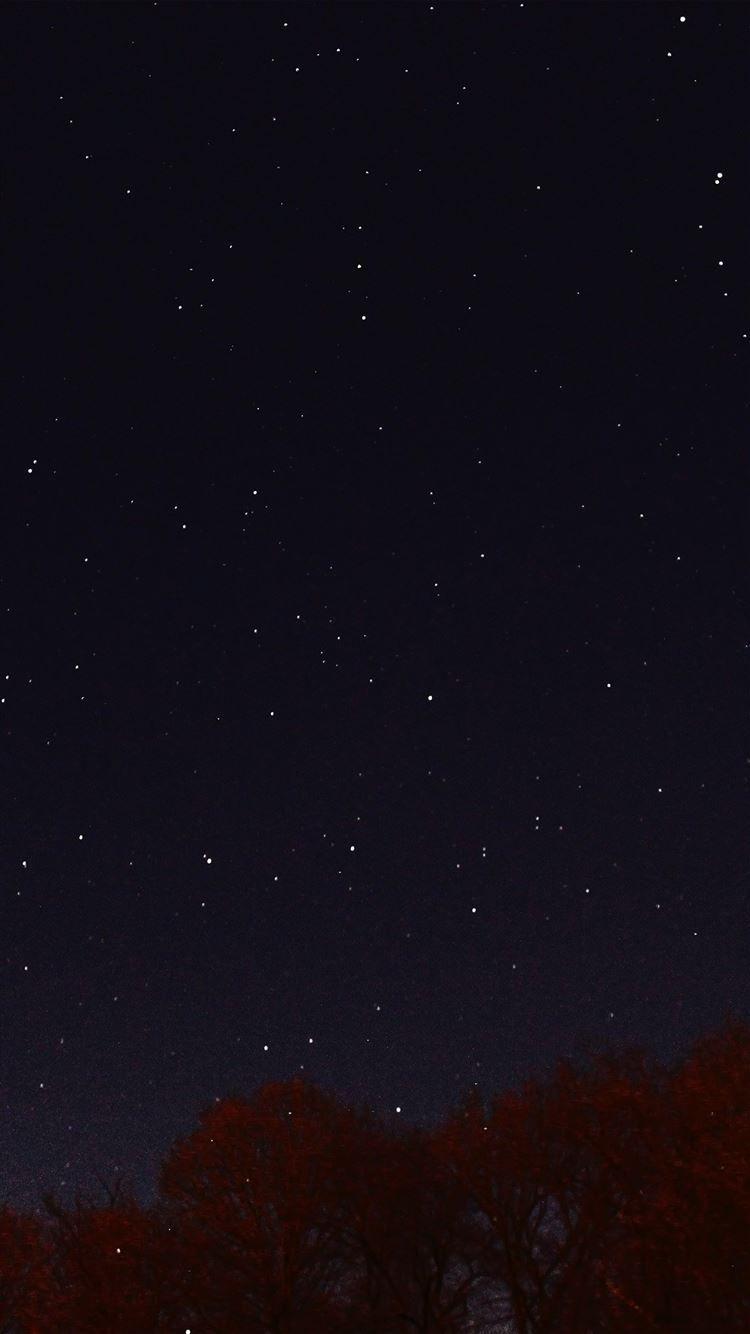 1242x2208 Night Sky Dark Star Lights Tree Nature iPhone 8 Wallpaper Free Download