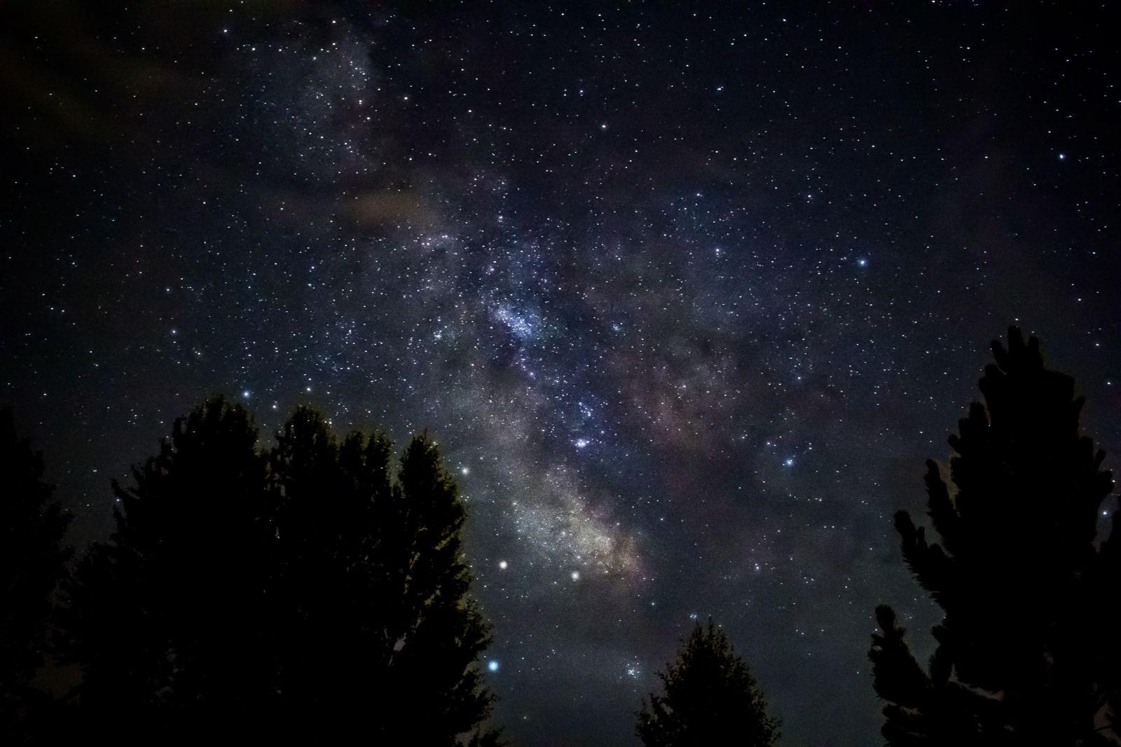 1600x1066 Sky Trees Night Silhouette Dark Stars Wallpaper.com. Best High Quality Wallpaper
