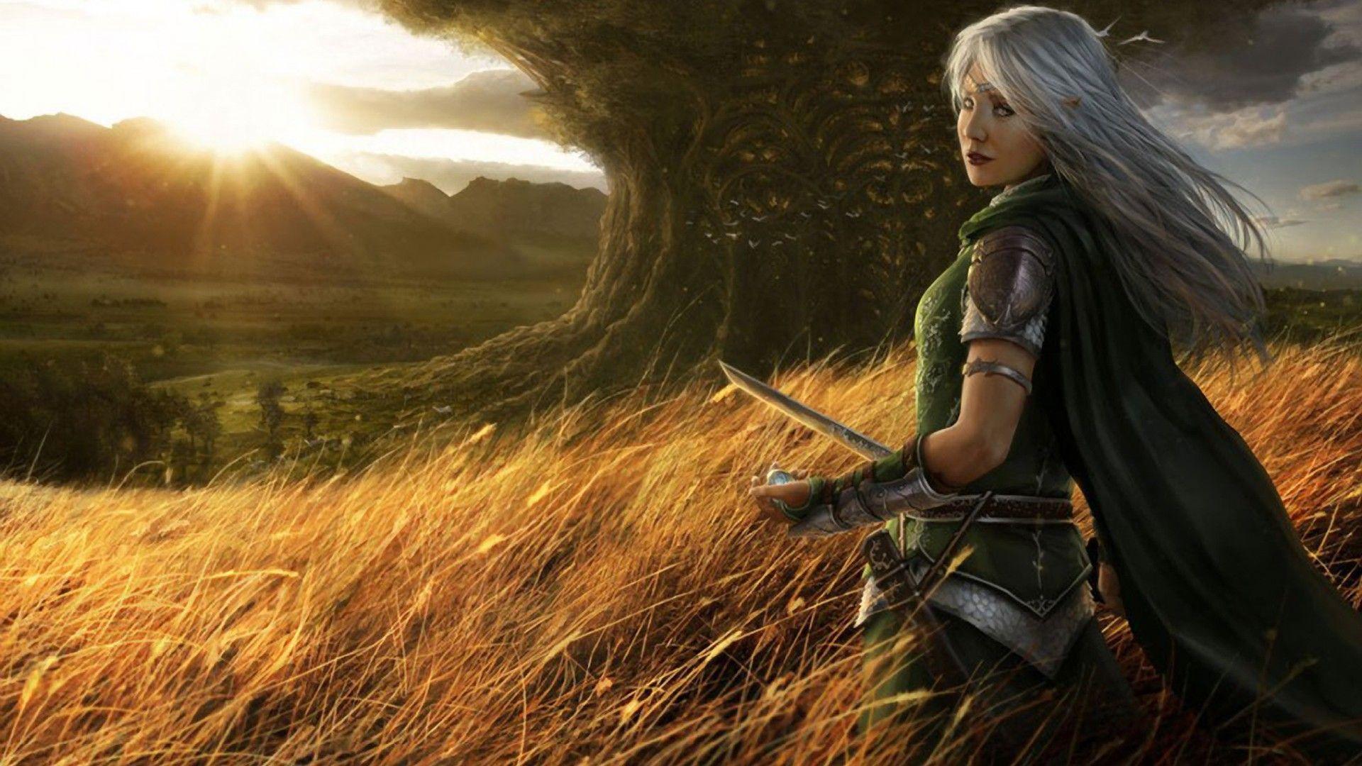 1920x1080 women, mountains, clouds, landscapes, trees, stare, grass, long hair, fantasy art, armor, elves, sunlight, cloak, digital art, white hair, girls with swords, swords wallpaper