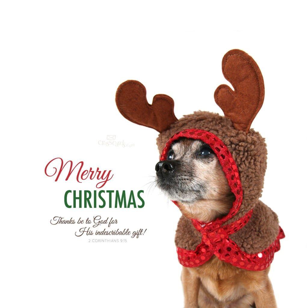 1024x1024 Merry Christmas Love Desktop Wallpaper Winter Computer and Mobile Background