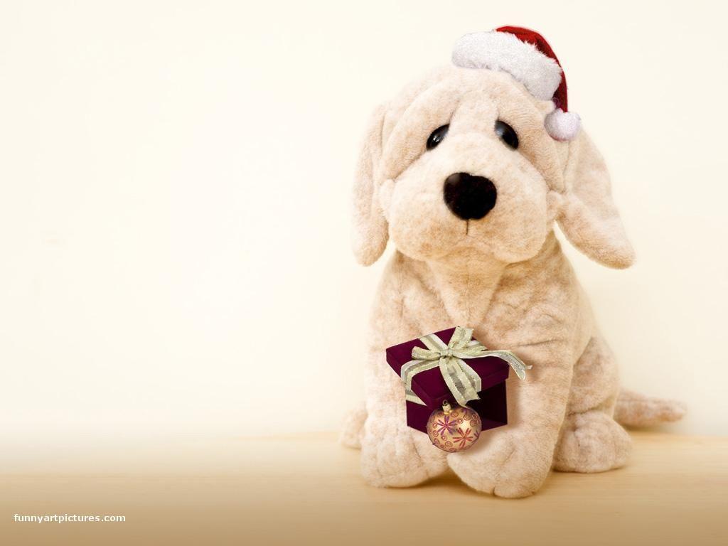 1024x768 Desktop wallpaper, Cute Christmas dog picture, funny picture gallery