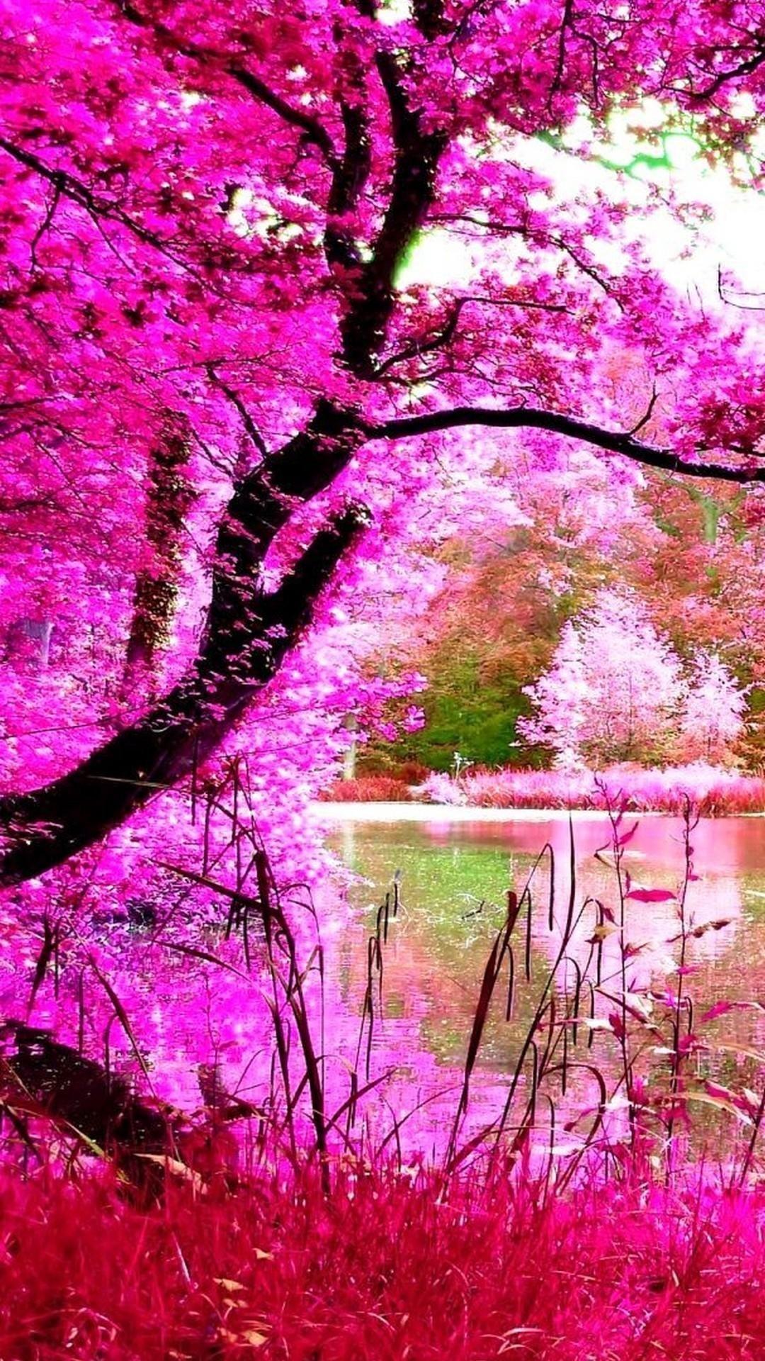 1080x1920 Beautiful Nature. Best nature wallpaper, Nature iphone wallpaper, HD nature wallpaper