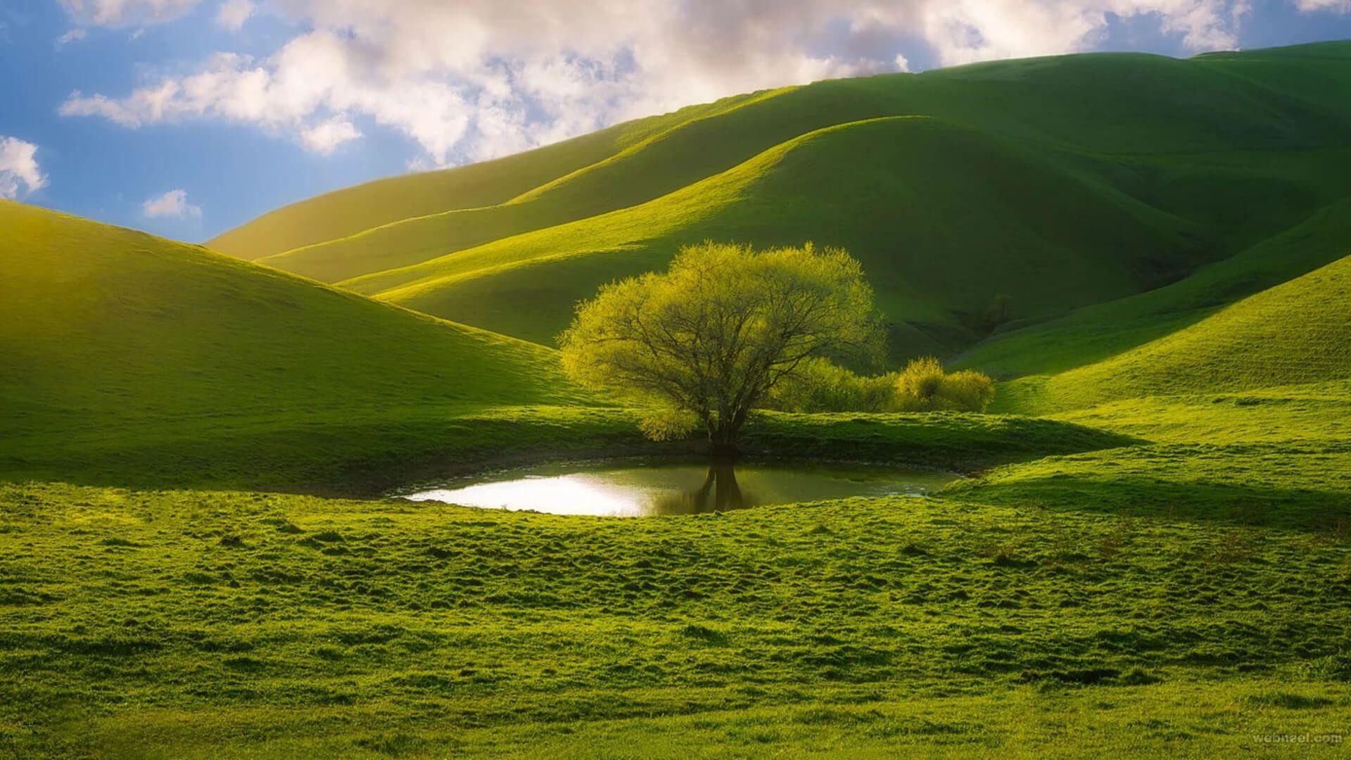 1920x1080 Beautiful HD Nature Wallpaper