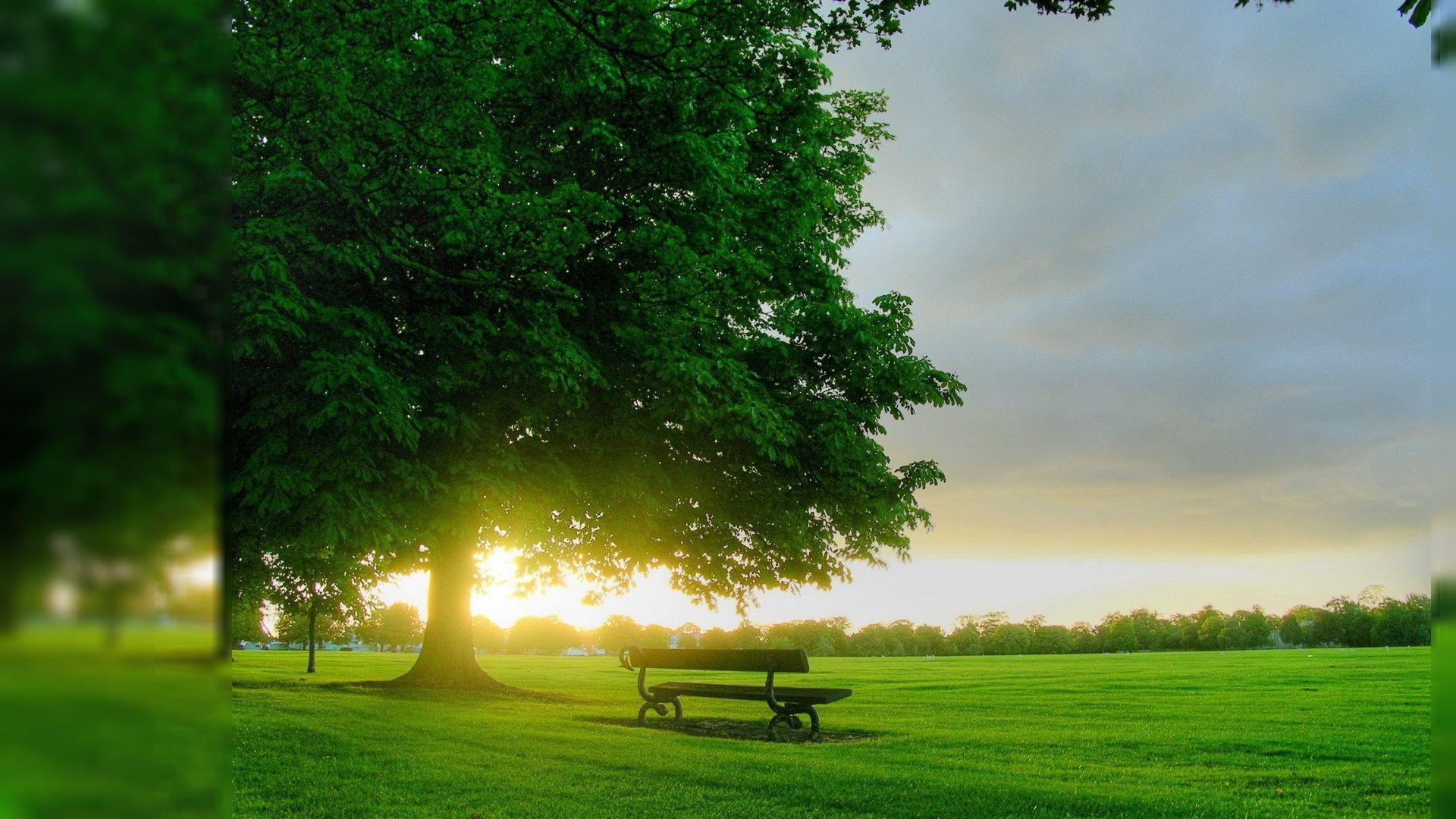 1920x1080 Beautiful Nature Wallpaper HD For Mobile Free Download Photo