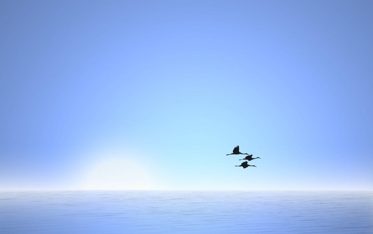 1280x804 Flight in the sky wallpaper. Flight in the sky