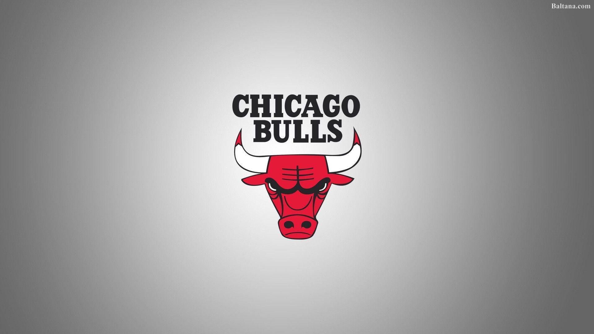 Bulls Wallpapers - Top Free Bulls Backgrounds - WallpaperAccess
