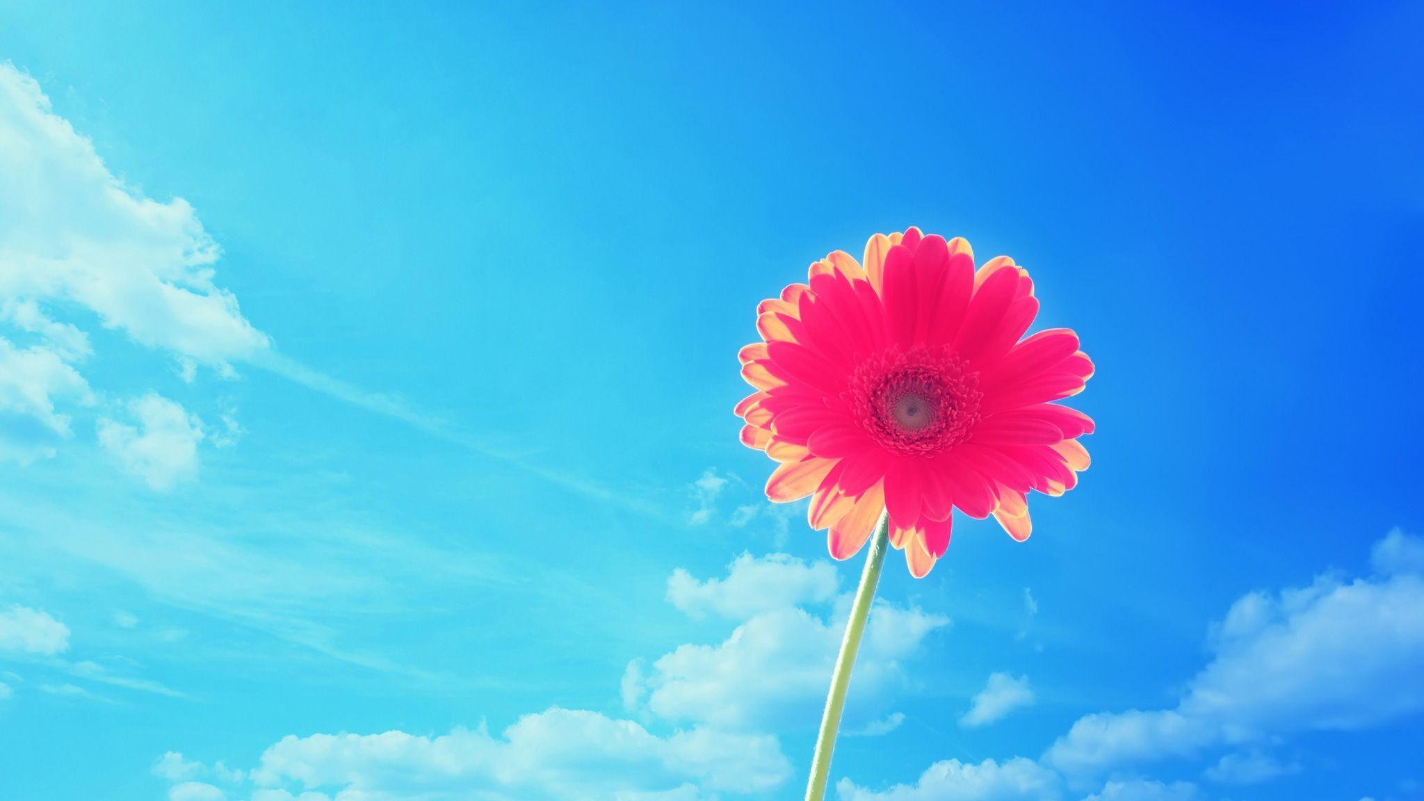 2048x1152 Desktop Wallpaper Bright HD Wallpaper