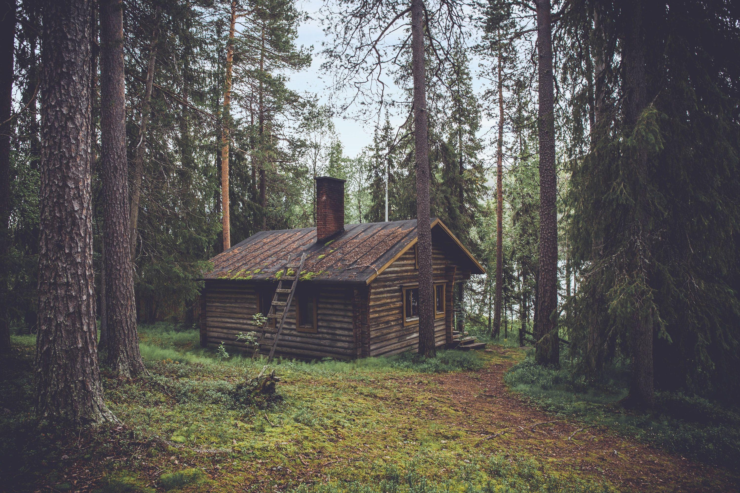 3000x2000 Wood Cabin In Forest Wallpaper & Background Download