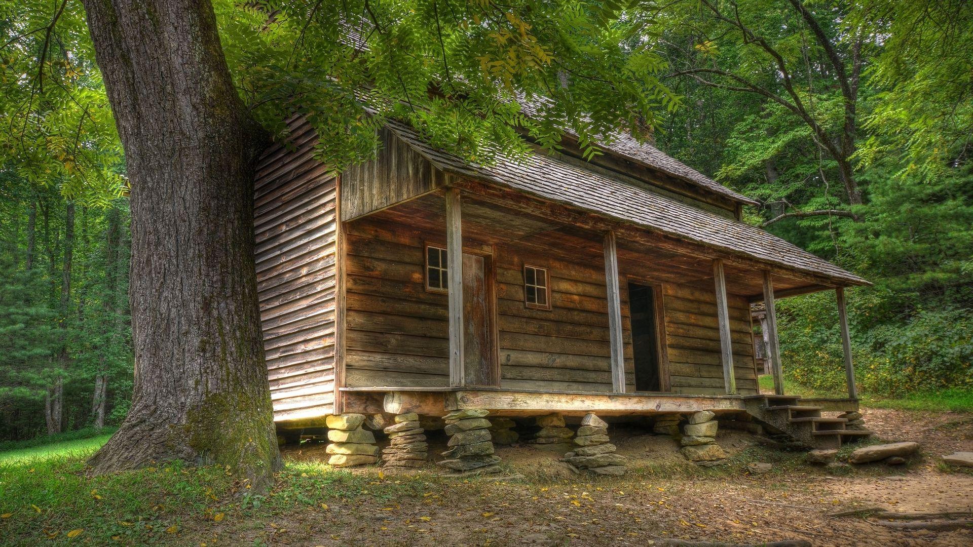 1920x1080 Cabin in the Woods Wallpaper