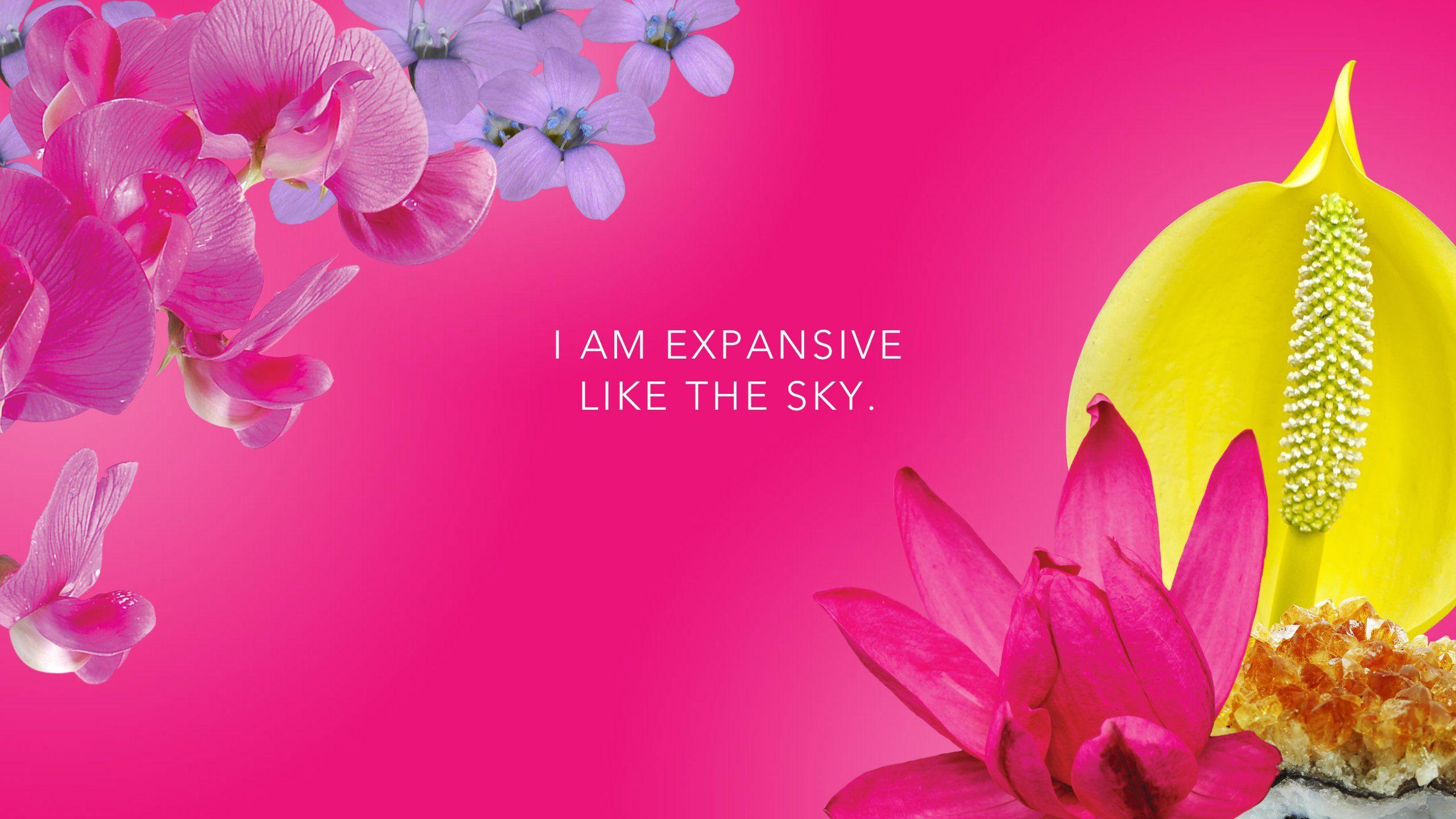 2560x1441 LOTUSWEI