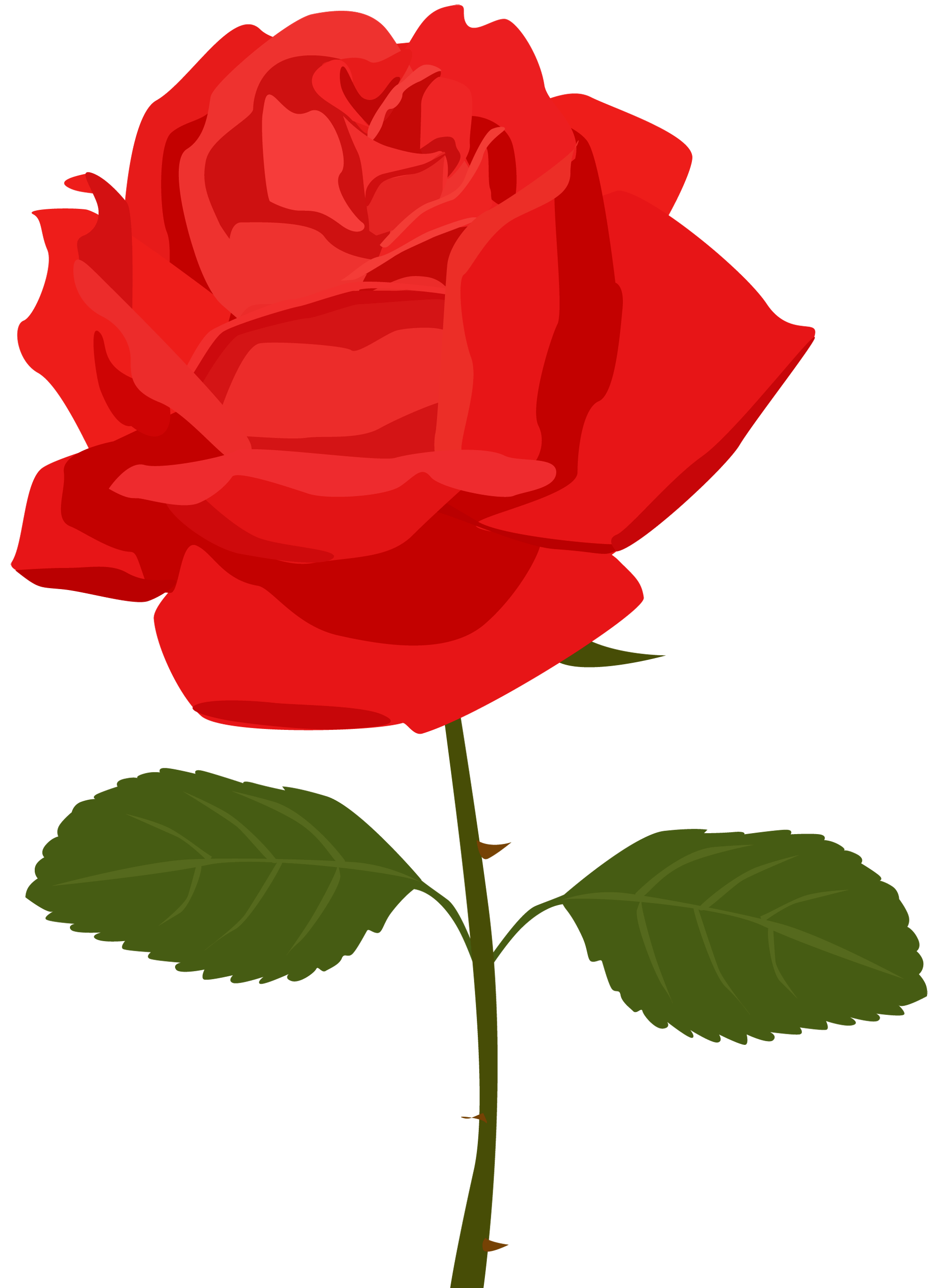 1950x2707 Free Red Rose Clipart, Download Free Clip Art, Free Clip Art on Clipart Library