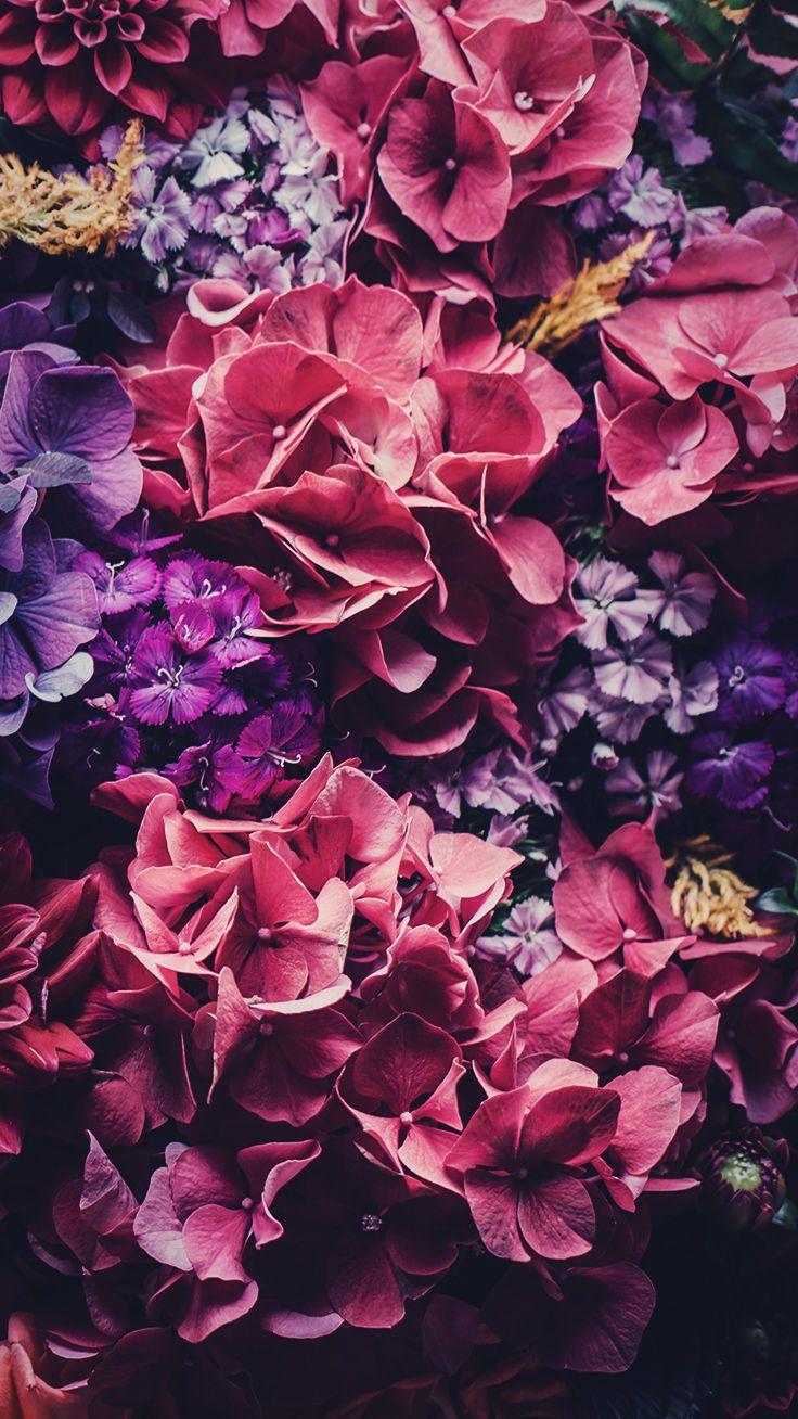 Floral Mac Wallpapers Top Free Floral Mac Backgrounds WallpaperAccess