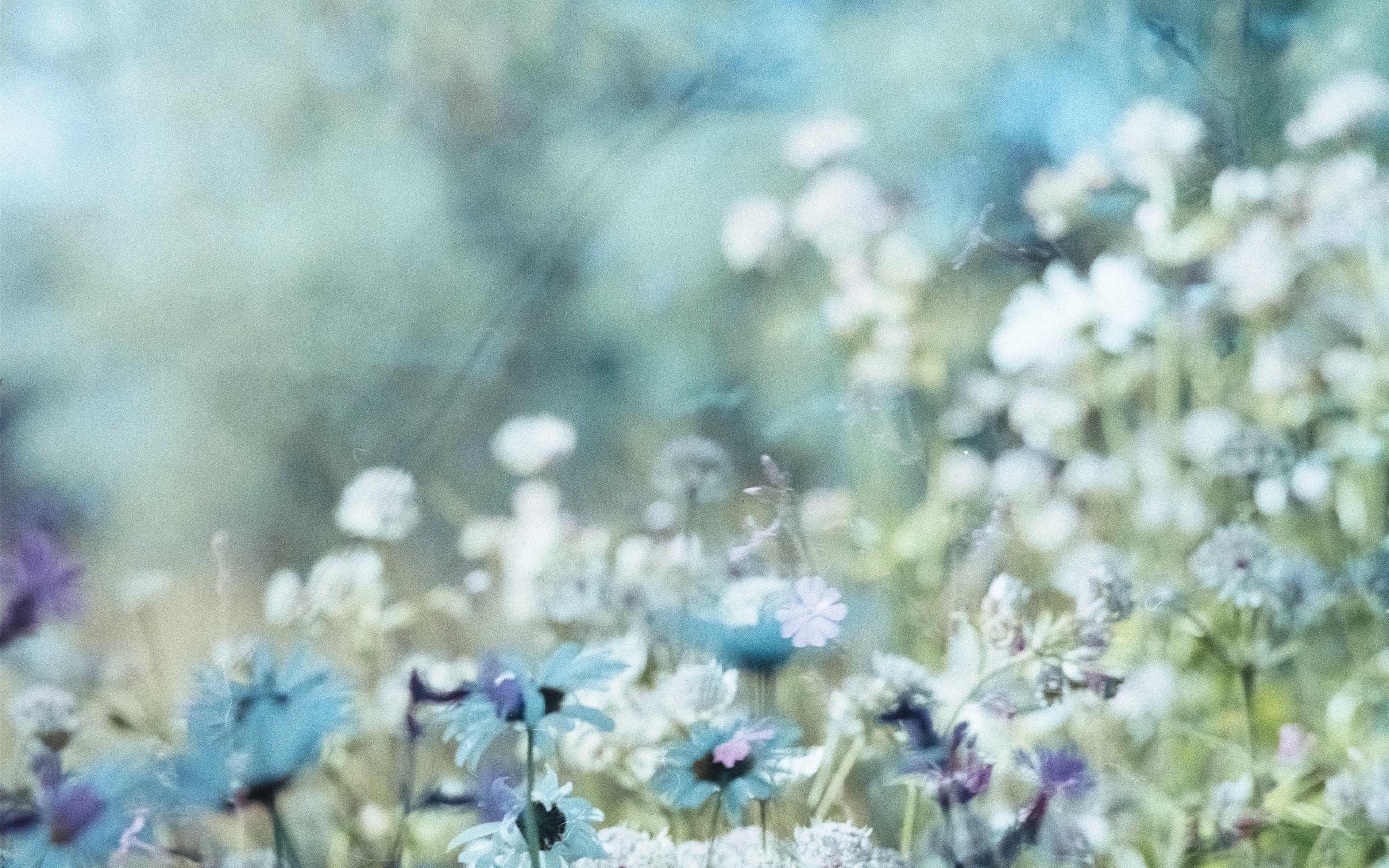 Floral Mac Wallpapers Top Free Floral Mac Backgrounds WallpaperAccess