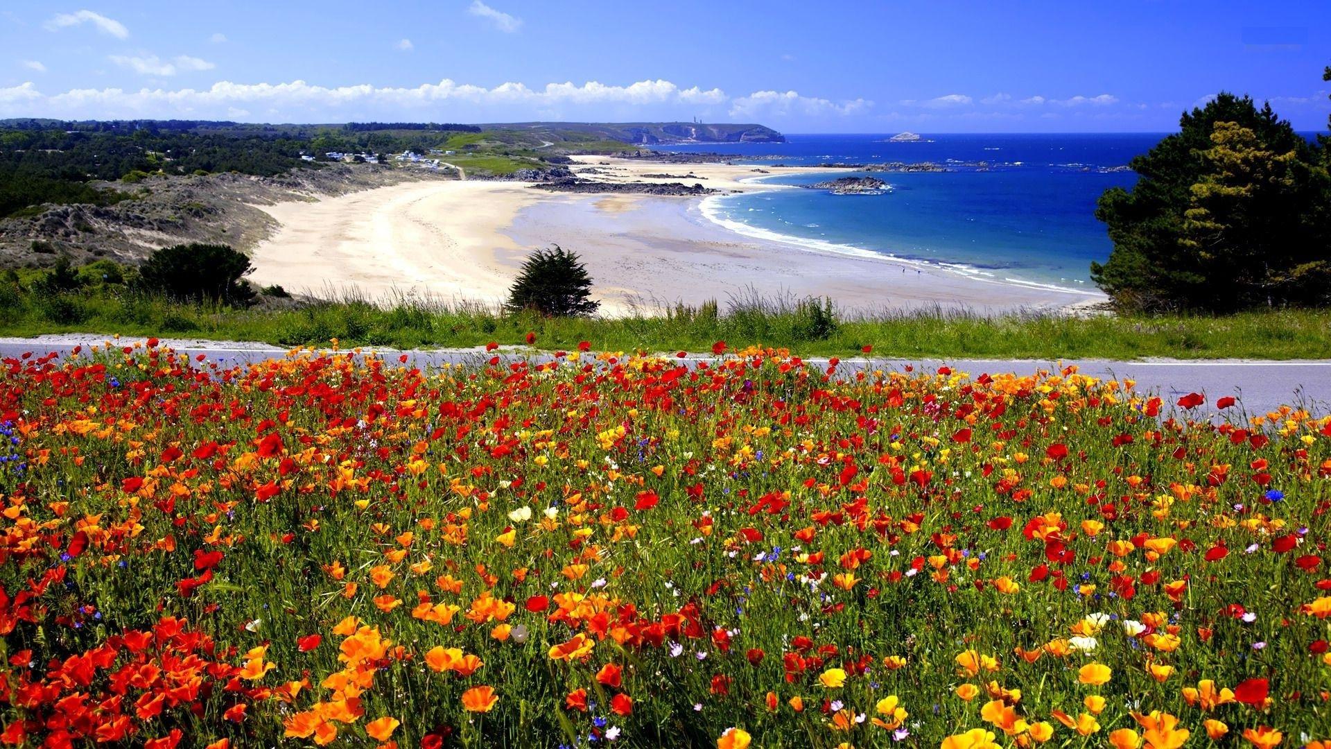 1920x1080 Vietnam Tag wallpaper: Green Landscapes Agriculture Hills Fields