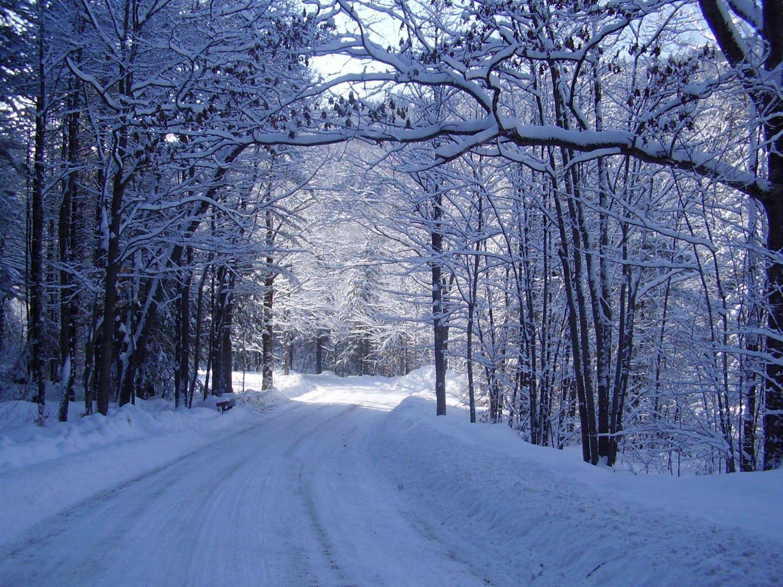 Beautiful Snowfall Wallpapers - Top Free Beautiful Snowfall Backgrounds ...