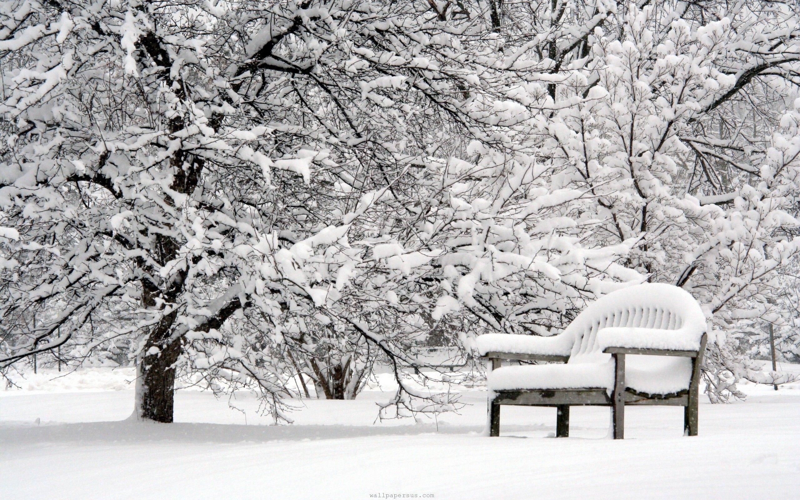2560x1600 Beautiful Winter Beautiful Bench Lovely Nature Pretty Snow Winter.jpeg (2560×1600). Winter Wallpaper, Winter Nature, Snowy Picture
