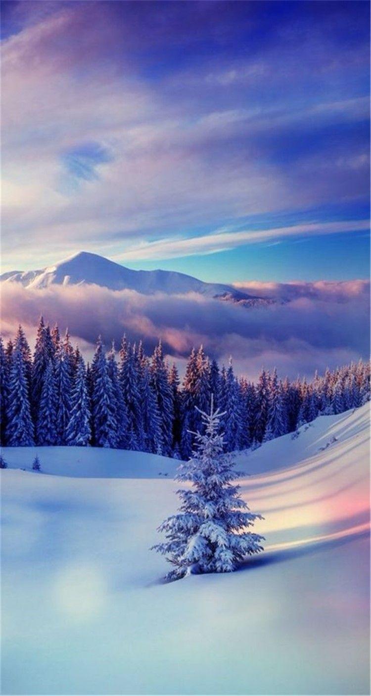 750x1404 Beautiful Snow Wallpaper Free HD Wallpaper
