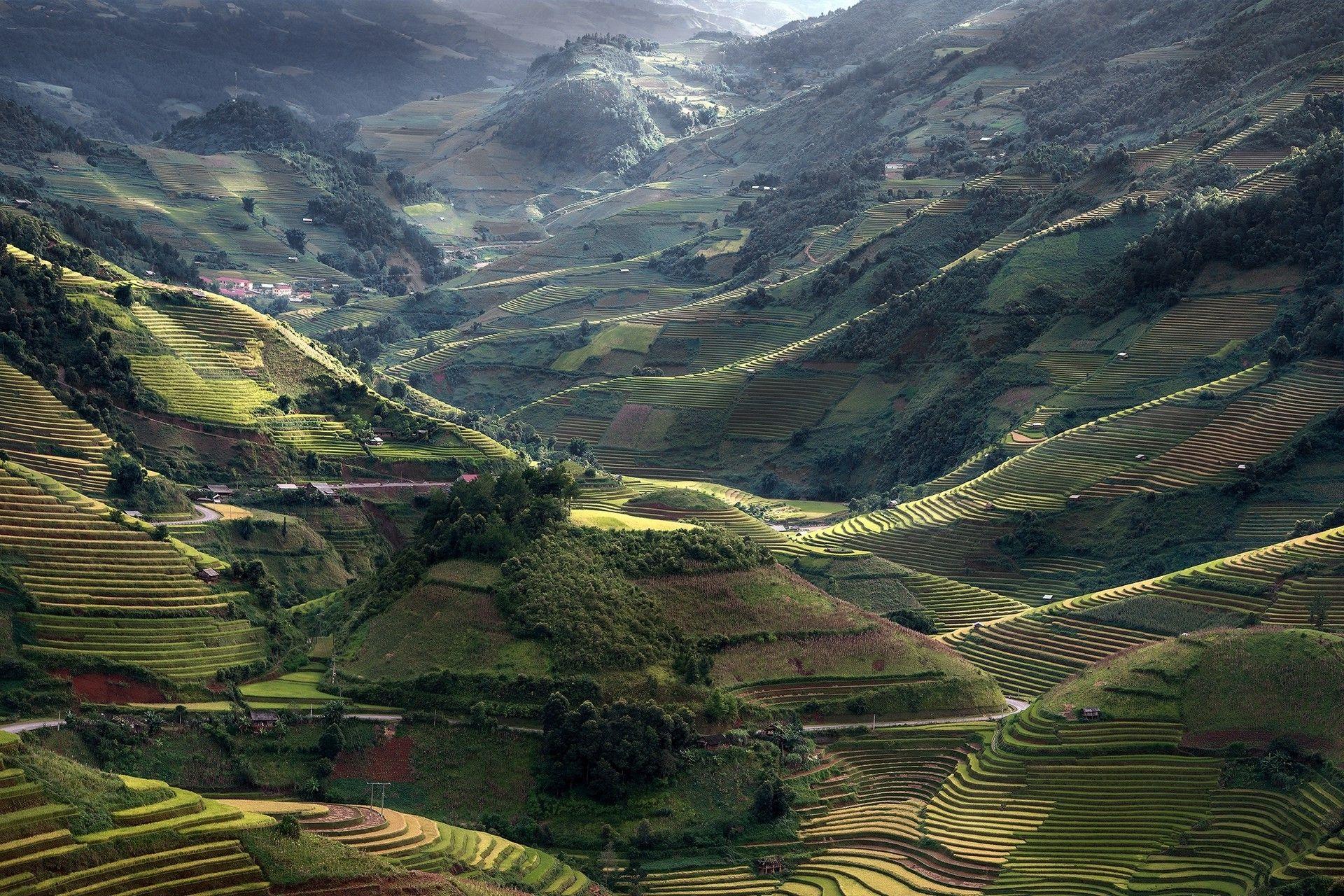 1920x1280 nature, Landscape, Mountain, Field, Terraces, Sunlight, Road, Trees