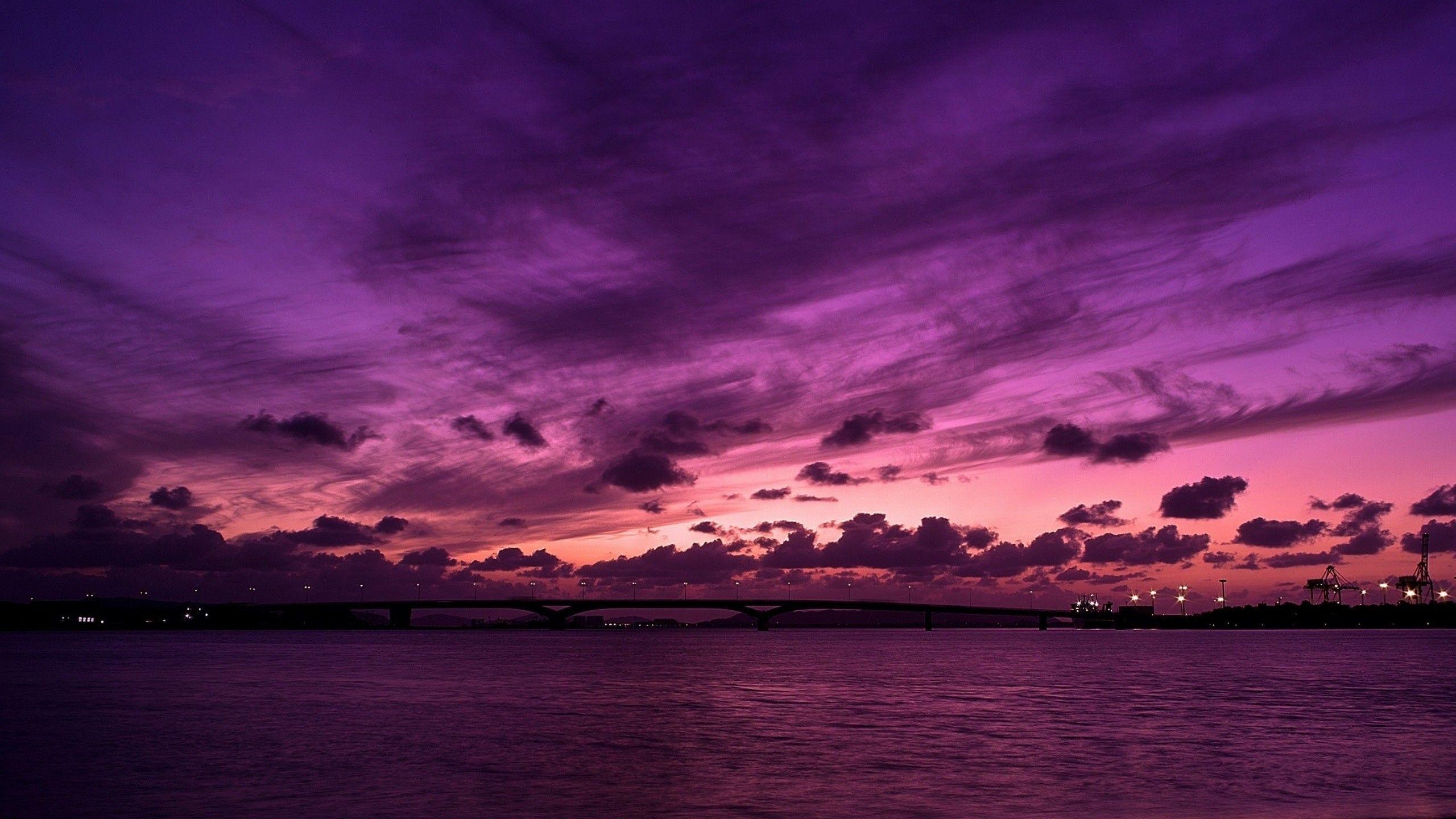 2560x1440 Purple HD Wallpaper