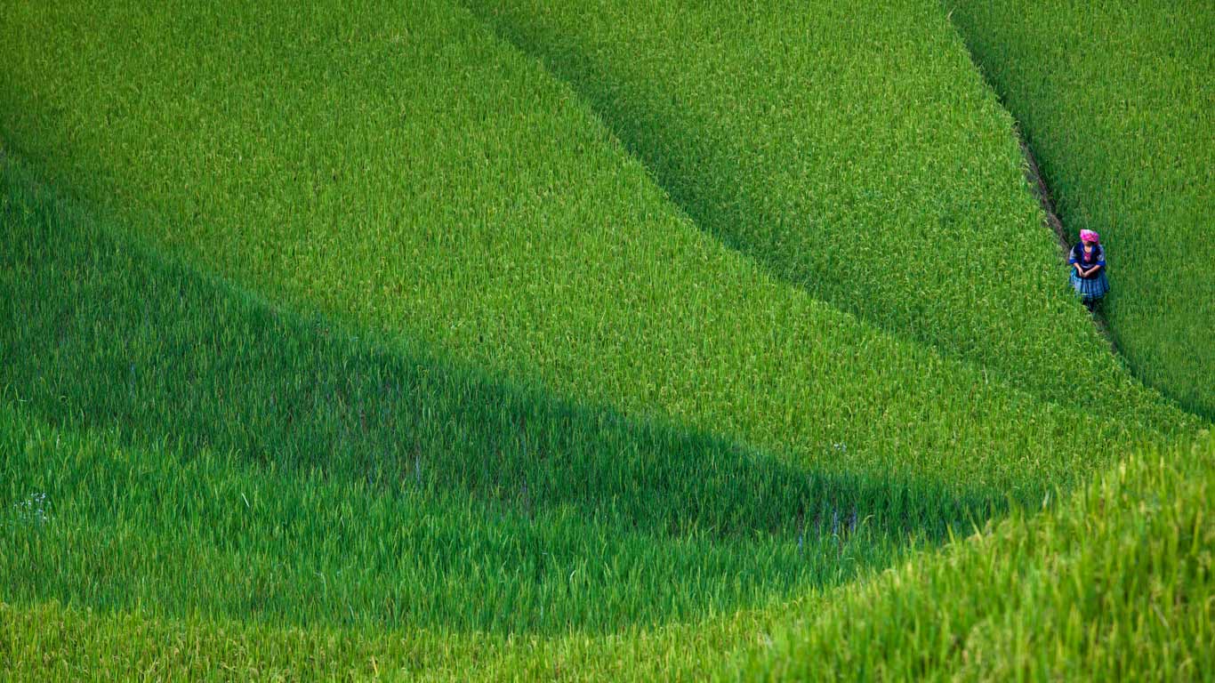 1366x768 Bing Wallpaper Archive