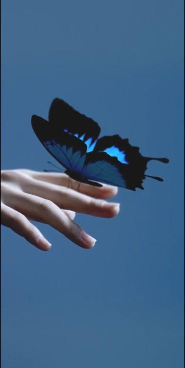 644x1280 LOONA GoWon One & Only; butterfly
