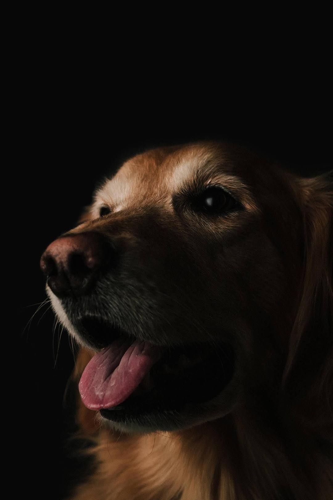 1080x1621 