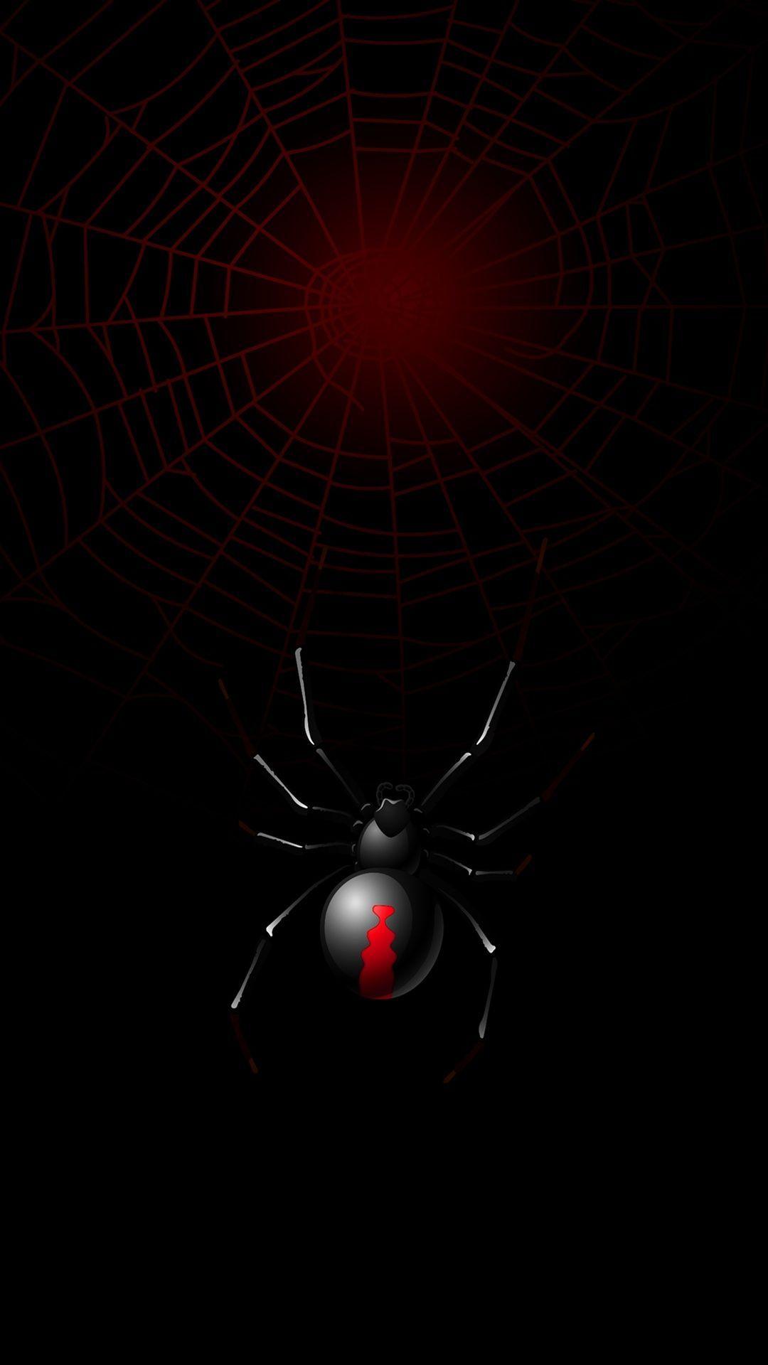 1080x1920 Black Widow Spider Wallpaper