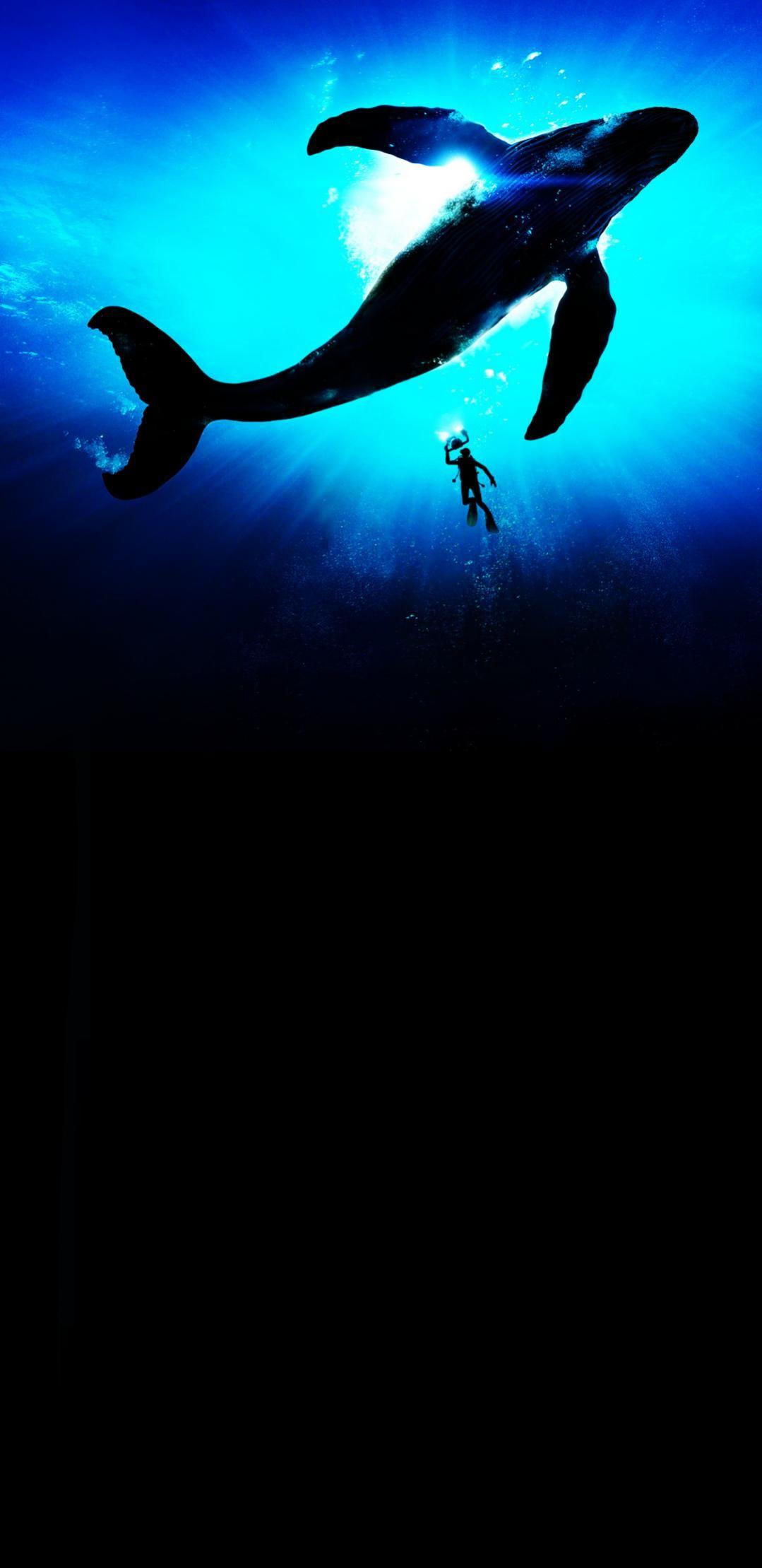 1079x2218 Amoled Background HD Wallpaper