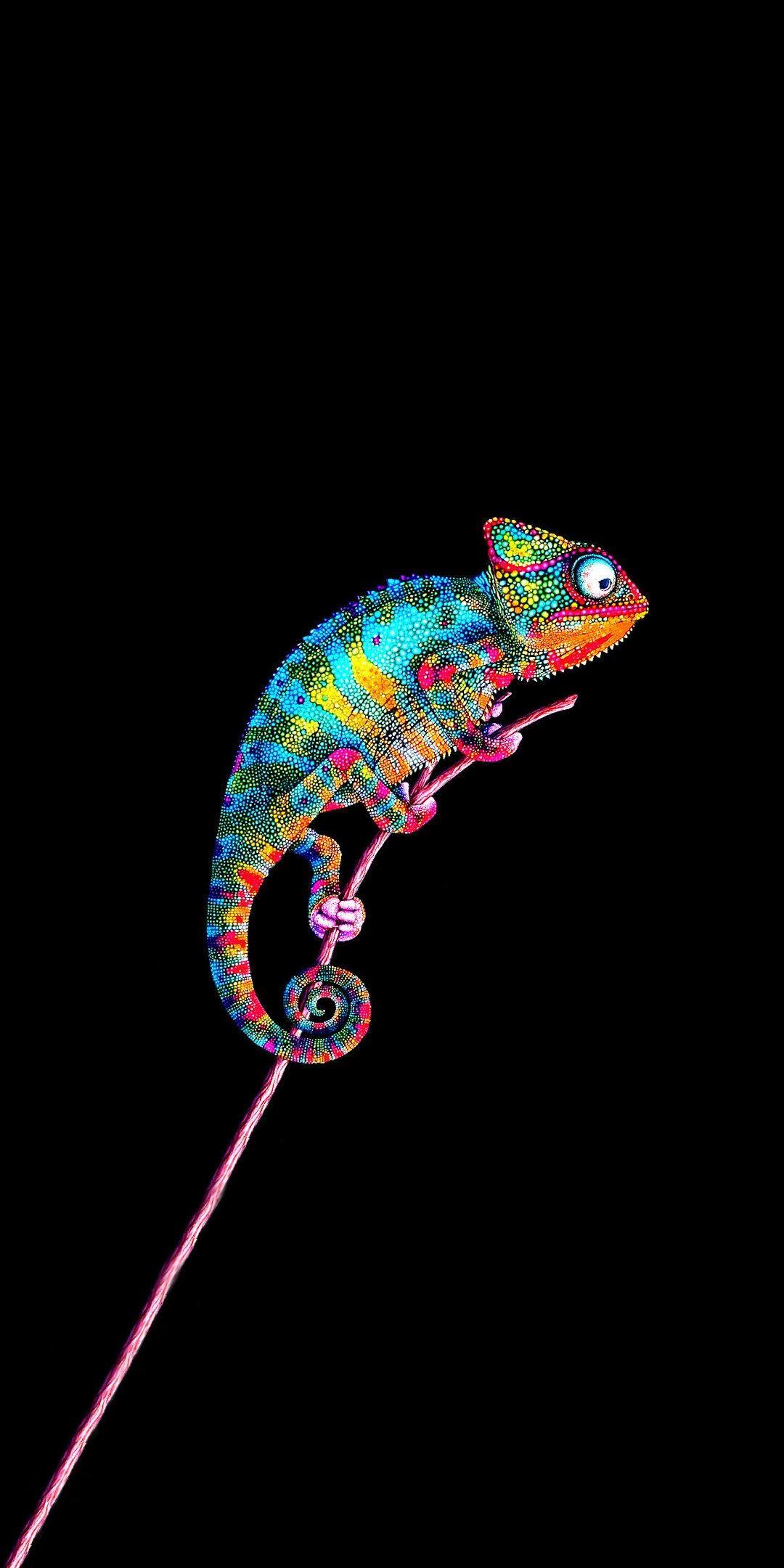 1080x2160 Some Cool AMOLED Wallpaper