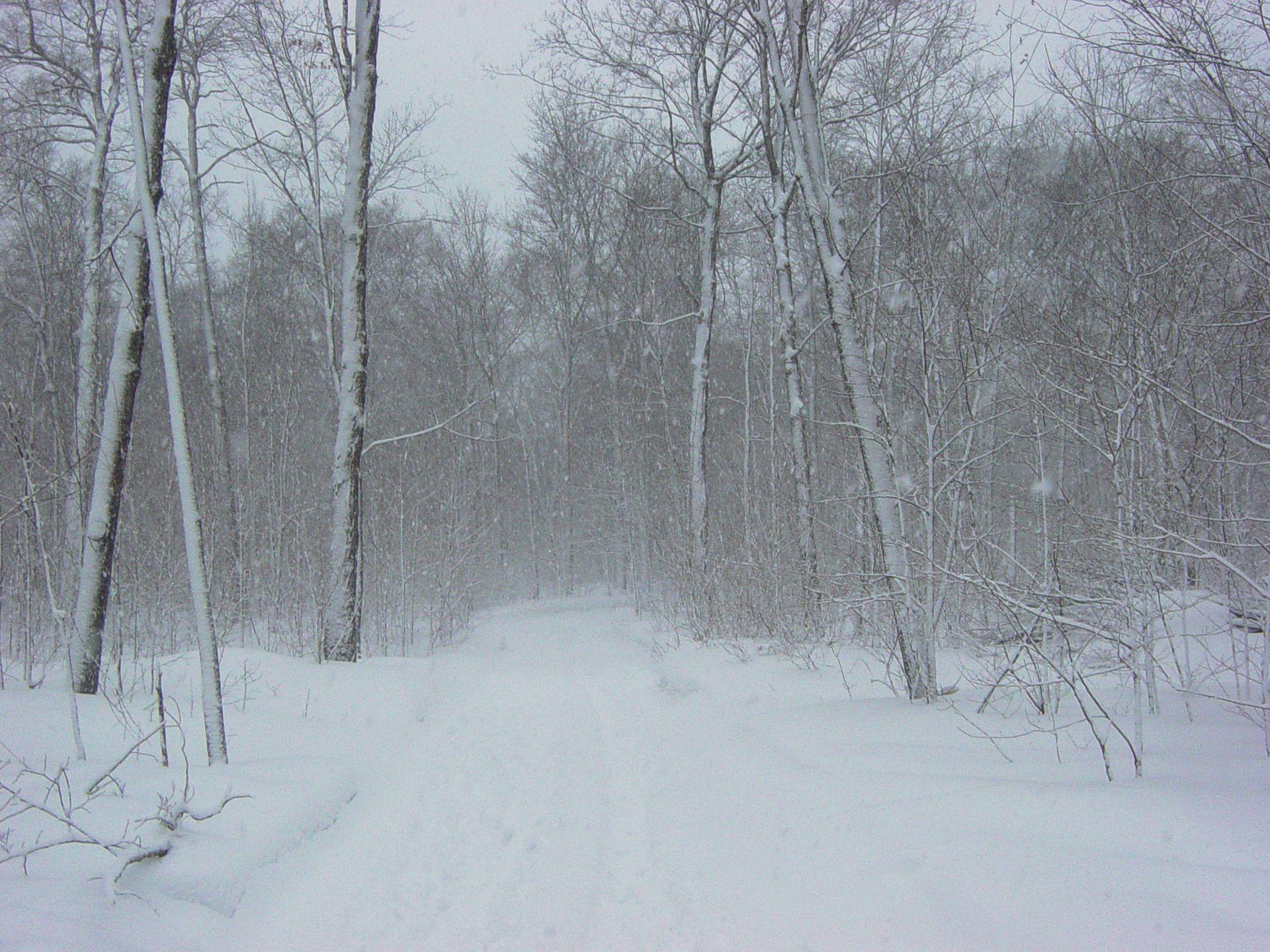 1920x1440 Winter Snowstorm Free Domain Picture