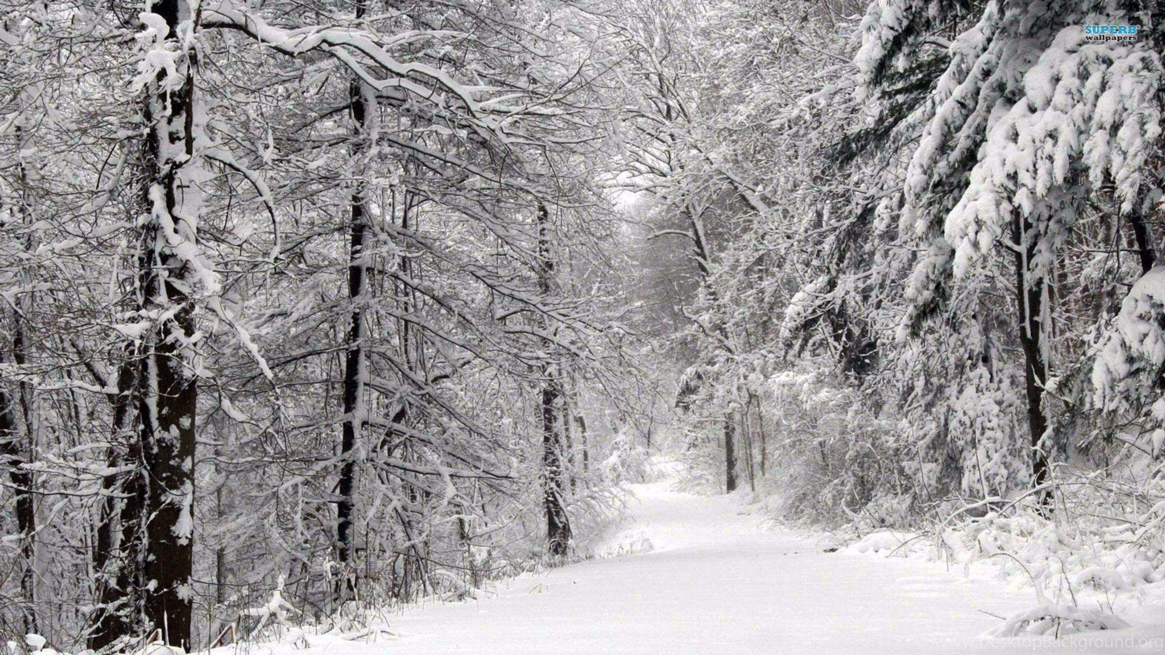 3840x2160 Amazing Snow Storm 4K Winter Wallpaper Desktop Background