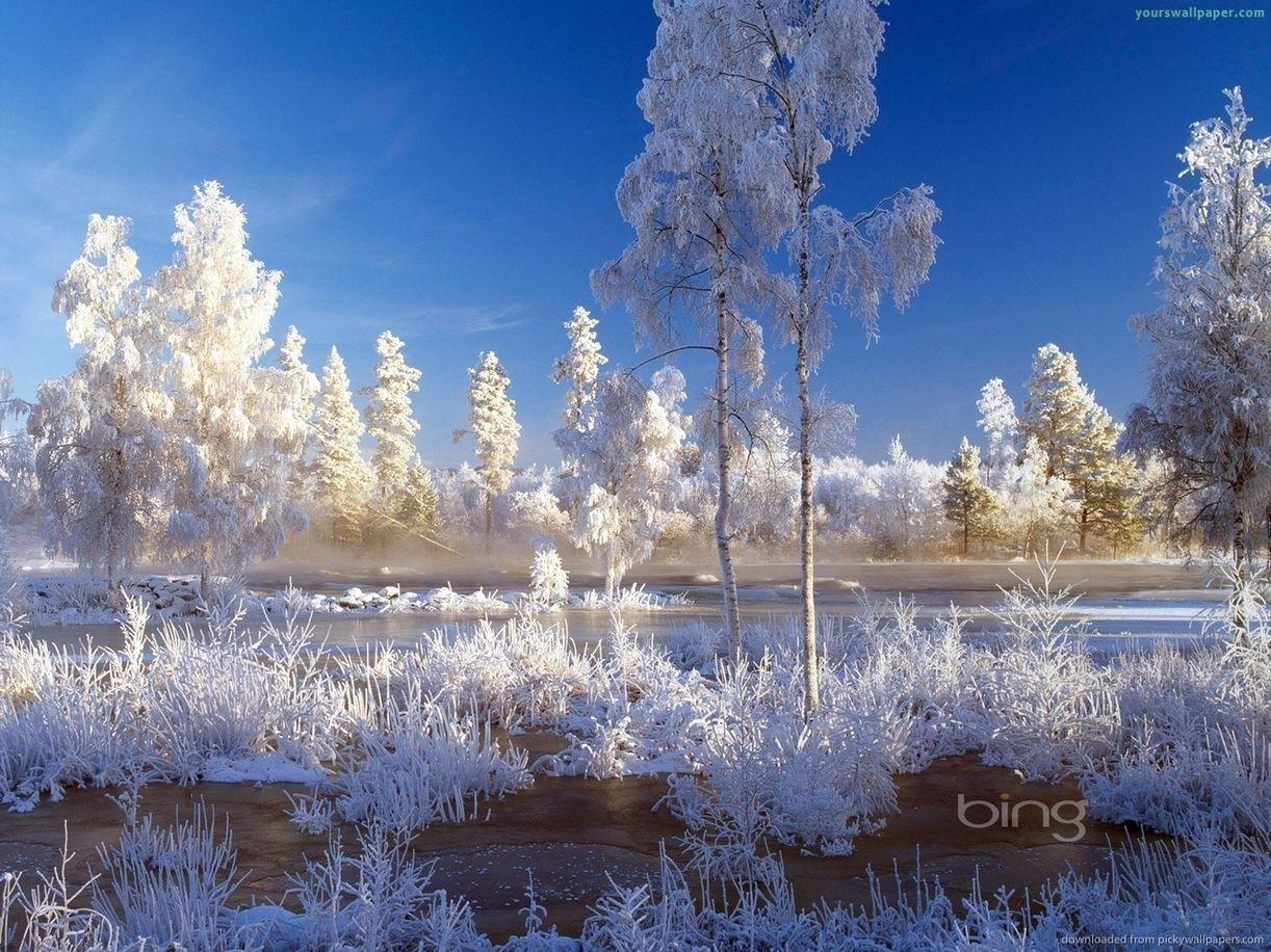 1222x916 Group Of Bing Wallpaper Snow Storm Image Wallpaper Winter Wallpaper & Background Download