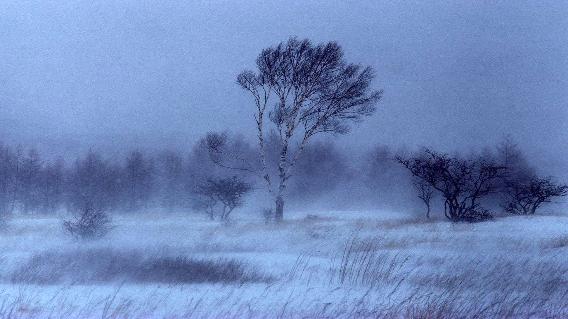 1920x1080 storm, Weather, Rain, Sky, Clouds, Nature, Landscape, Winter, Snow Wallpaper HD / Desktop and Mobile Background