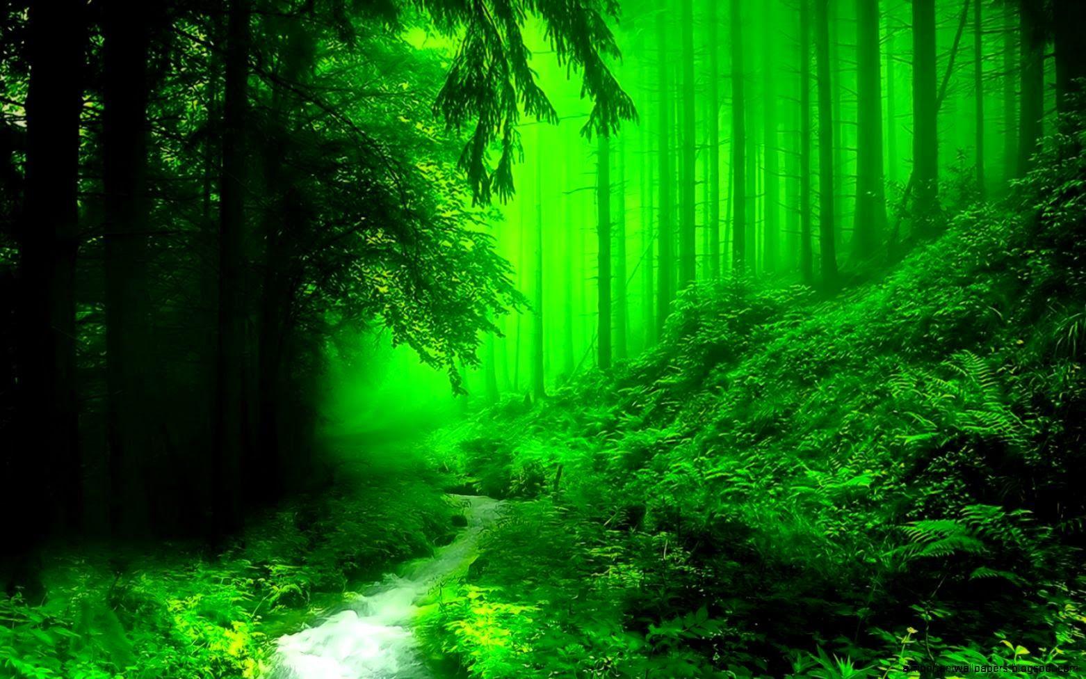 hd green forest background