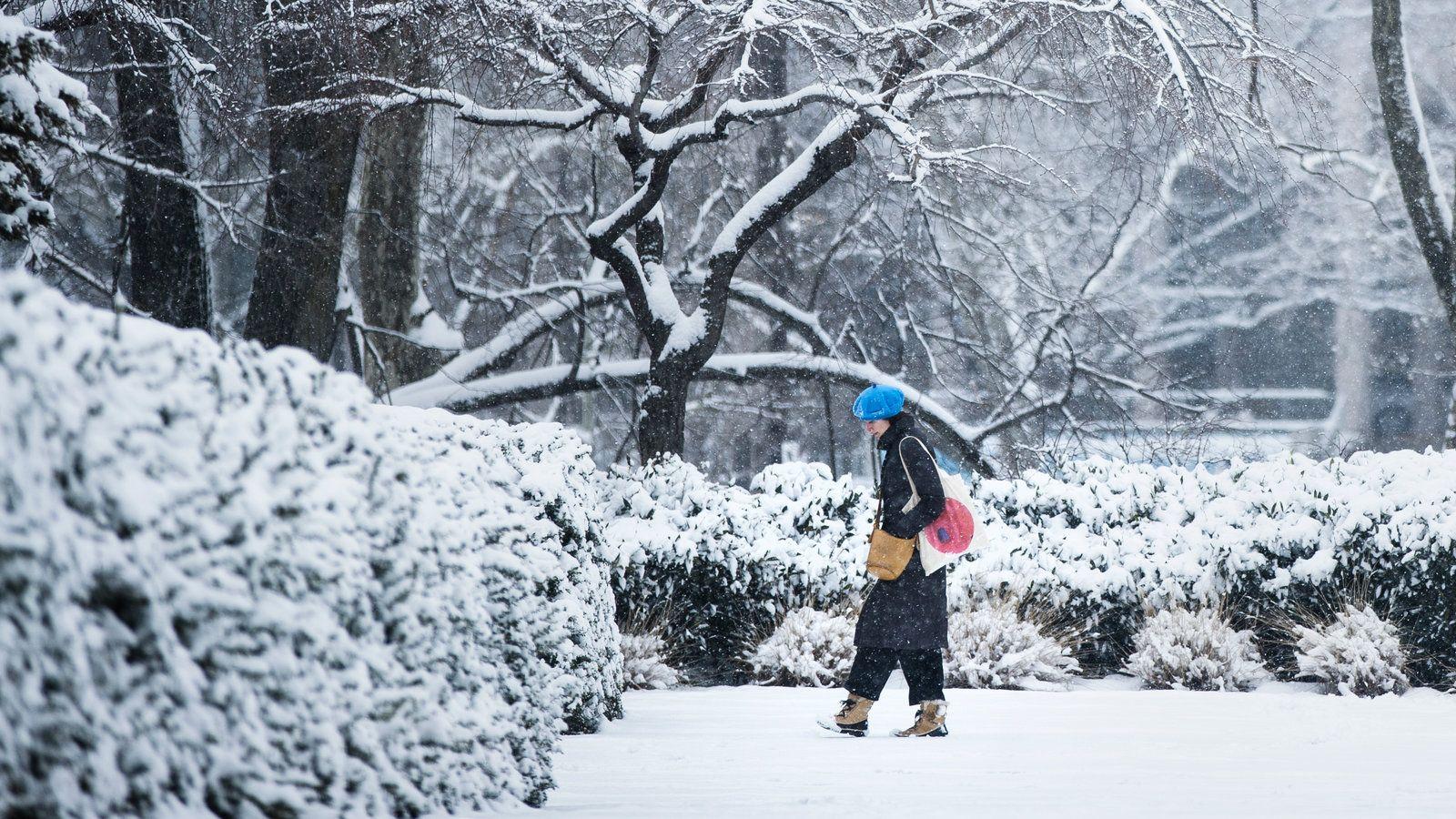The weather was snowing. Weather snow. профиль старт снег. snowy weather in the city. snowfall best ending.