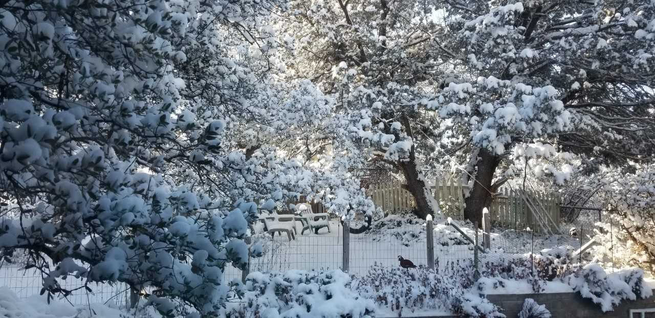 1280x622 PHOTOS: Winter storm brings snow to Arizona