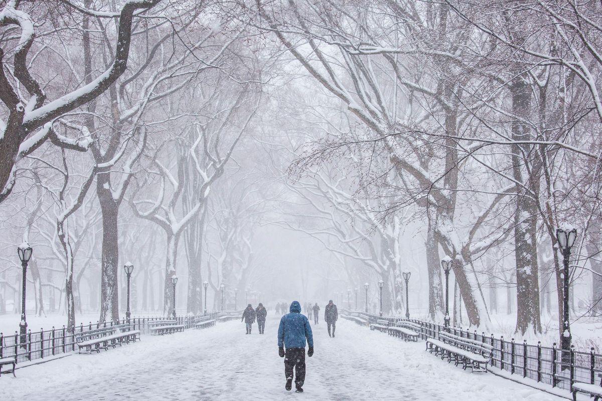1200x800 Winter Storm Toby: see photo of Central Park in NYC during the storm