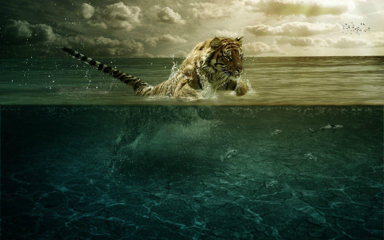 1600x1000 4K Tiger Wallpaper HD For Desktop (2020)