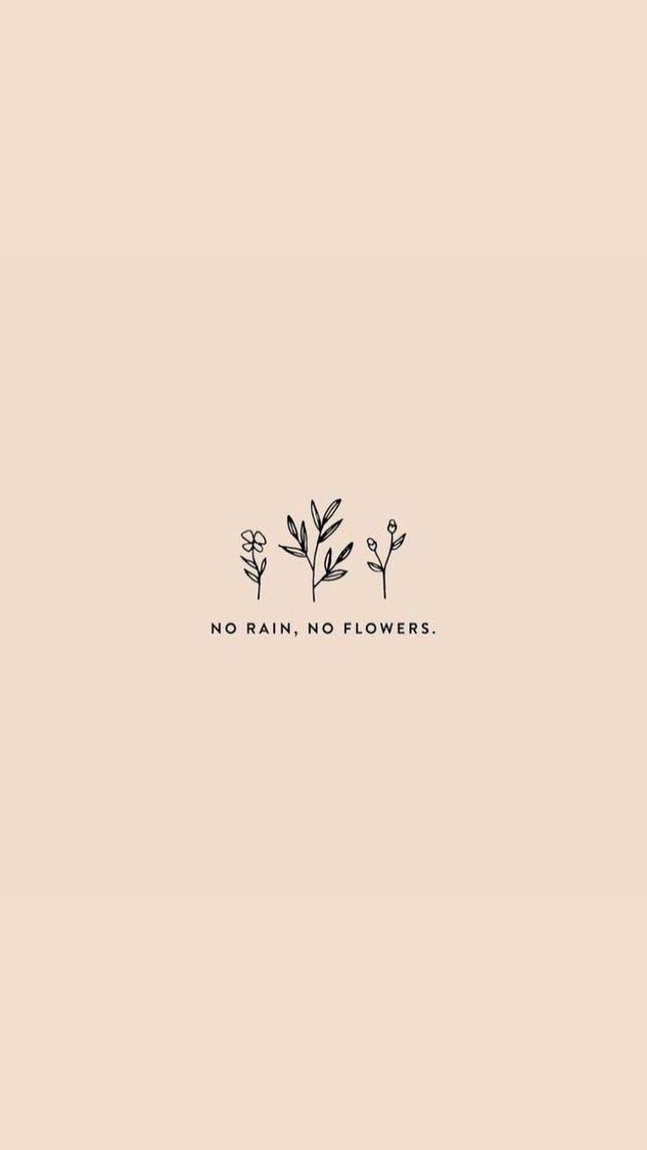 720x1280 plants, pink, black and minimalist
