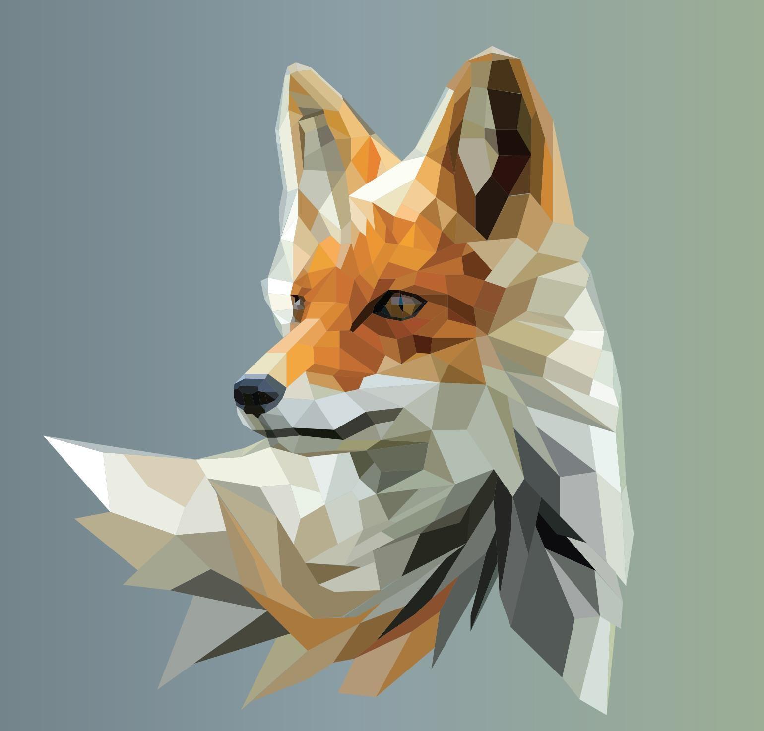 Polygon Fox Wallpapers - Top Free Polygon Fox Backgrounds - Wallpaperaccess