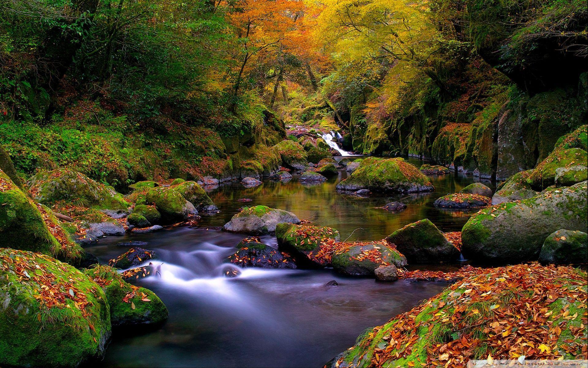 1920x1200 Mountain Creek.com. Free HD Wallpaper. Autumn landscape, Landscape wallpaper, Autumn forest