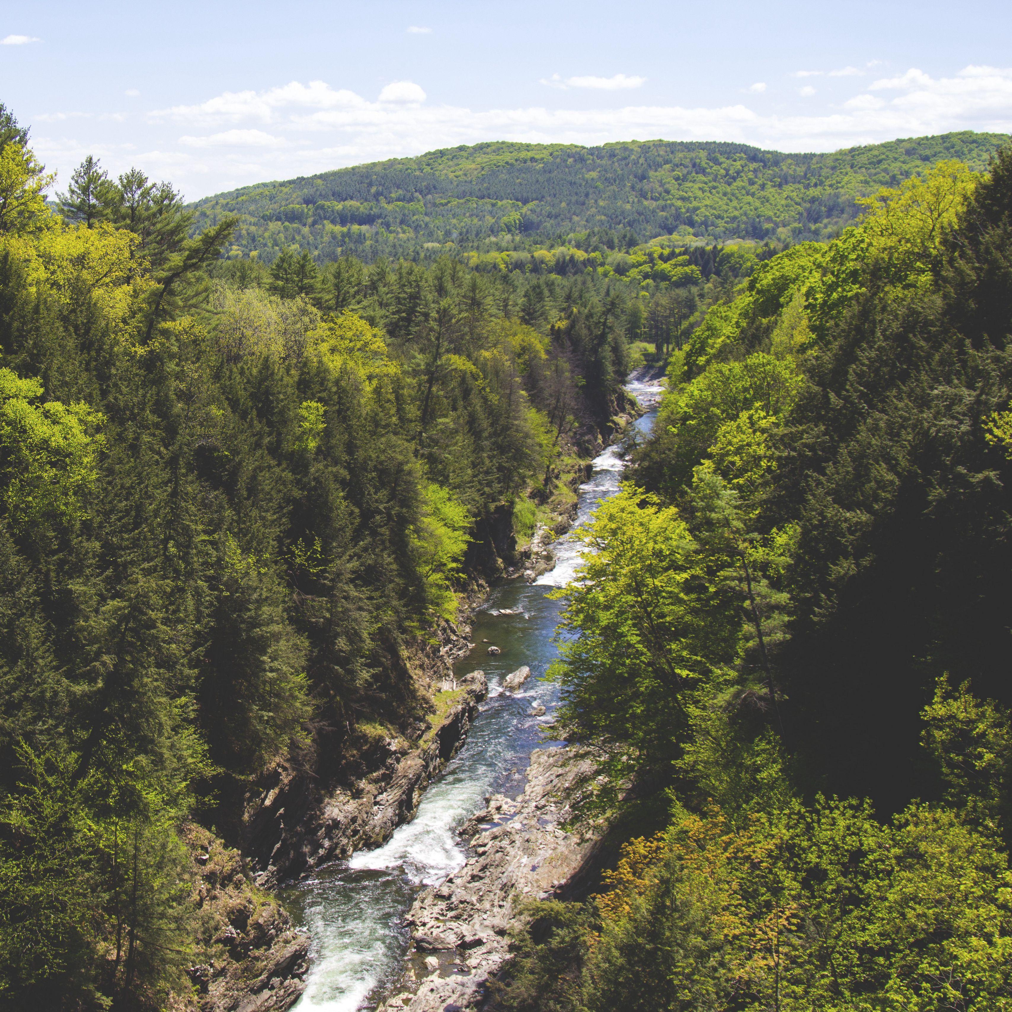 3415x3415 Download wallpaper 3415x3415 trees, creek, river, mountain ipad pro 12.9 retina for parallax HD background