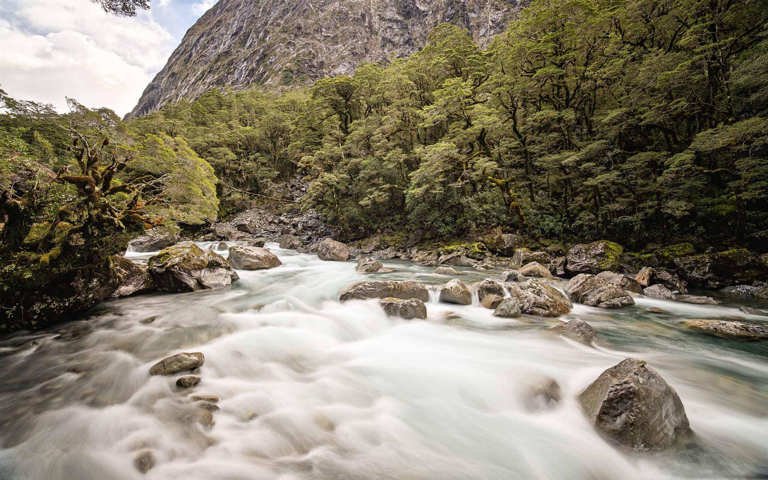 2560x1600 Mountain Creek Mac Wallpaper Download