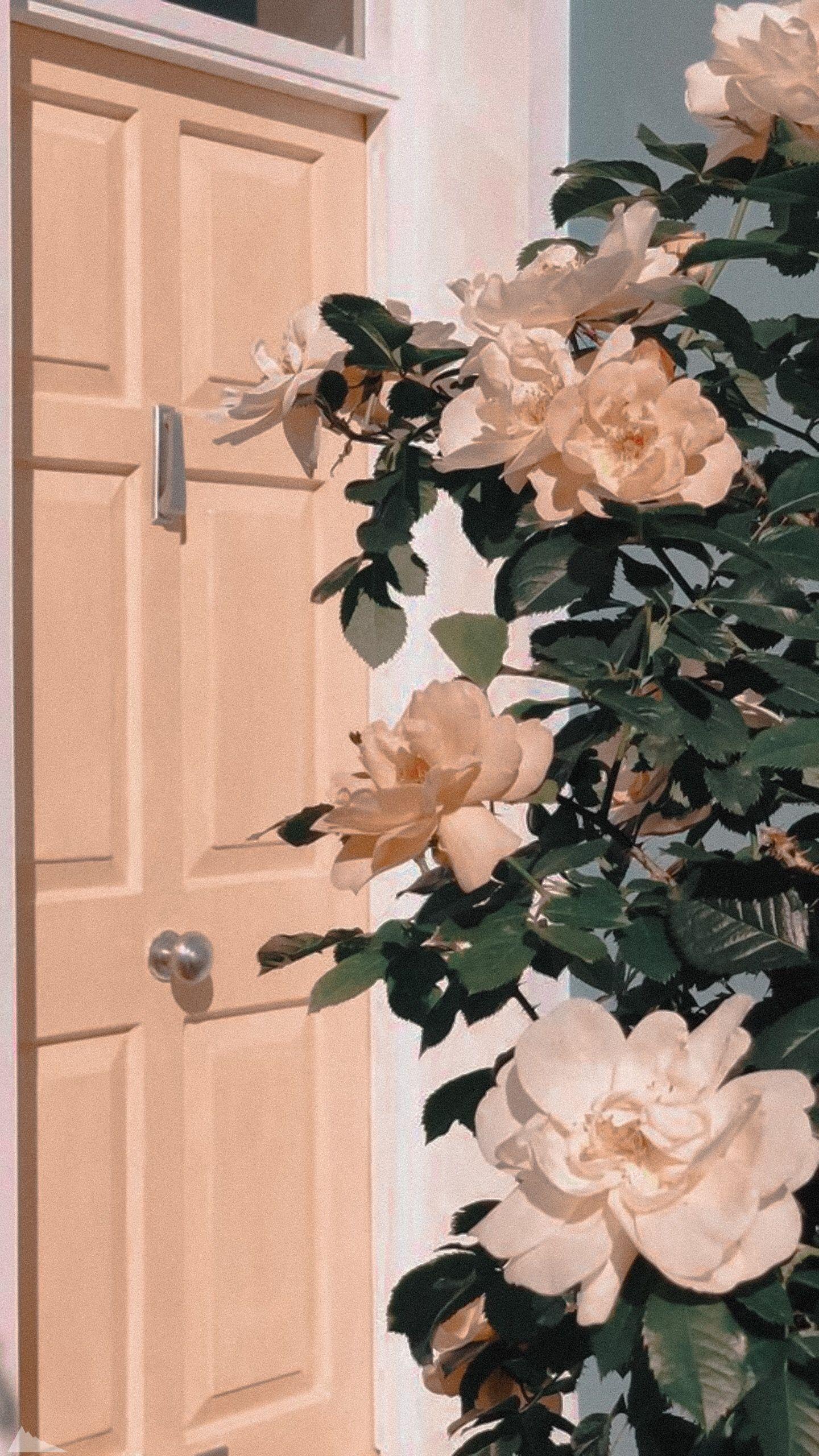 1440x2560 aesthetic wallpaper iphone pastel pink flowers
