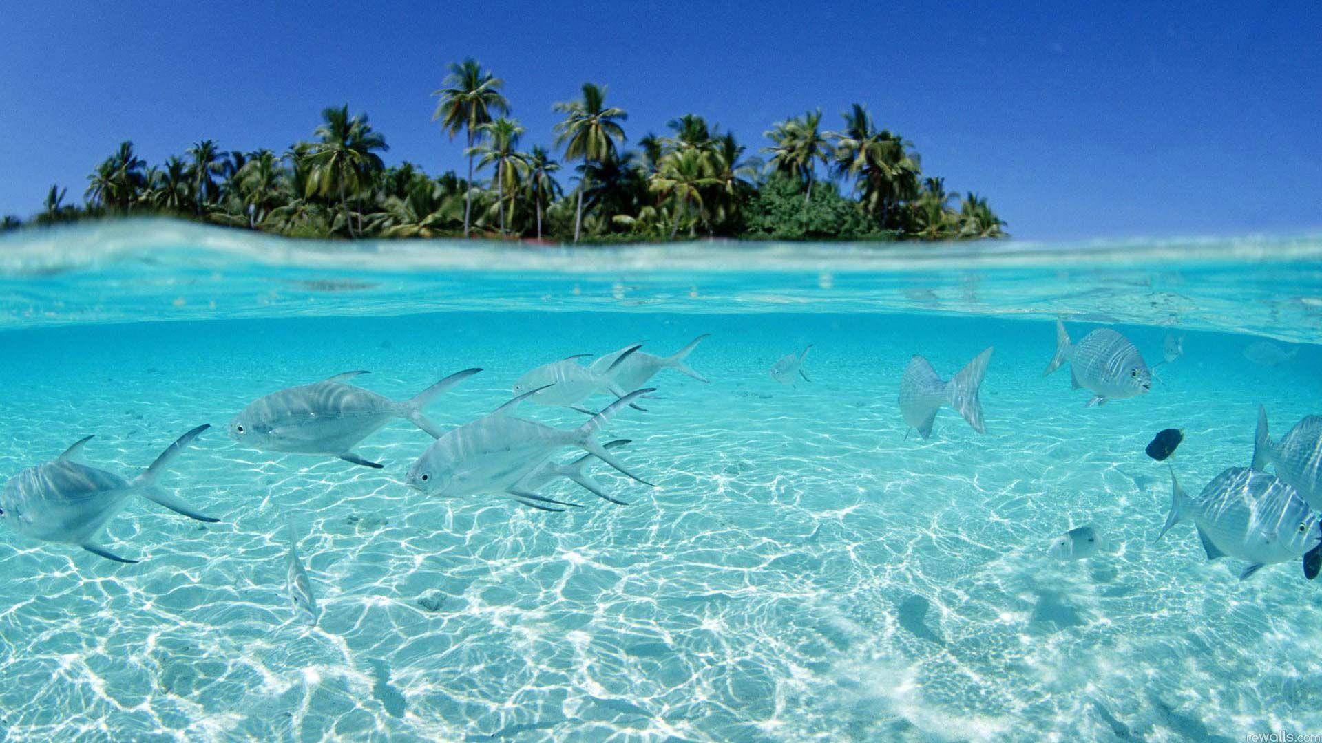 1920x1080 Newborn Photography Fishing Wallpaper HD. Beautiful beach picture, Beaches in the world, Beautiful beaches