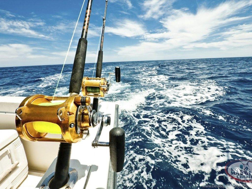 1024x768 Picture Of Deep Sea Fishing Wallpaper Of Insect And Animals. Desktop Background