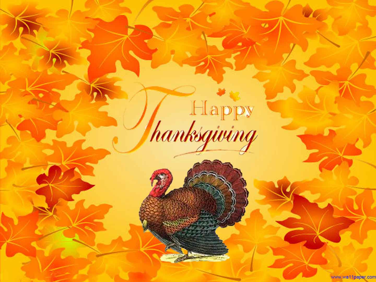 1440x1080 Pics, Facts, Funny Stuff about Animals & Nature Happy Thanksgiving