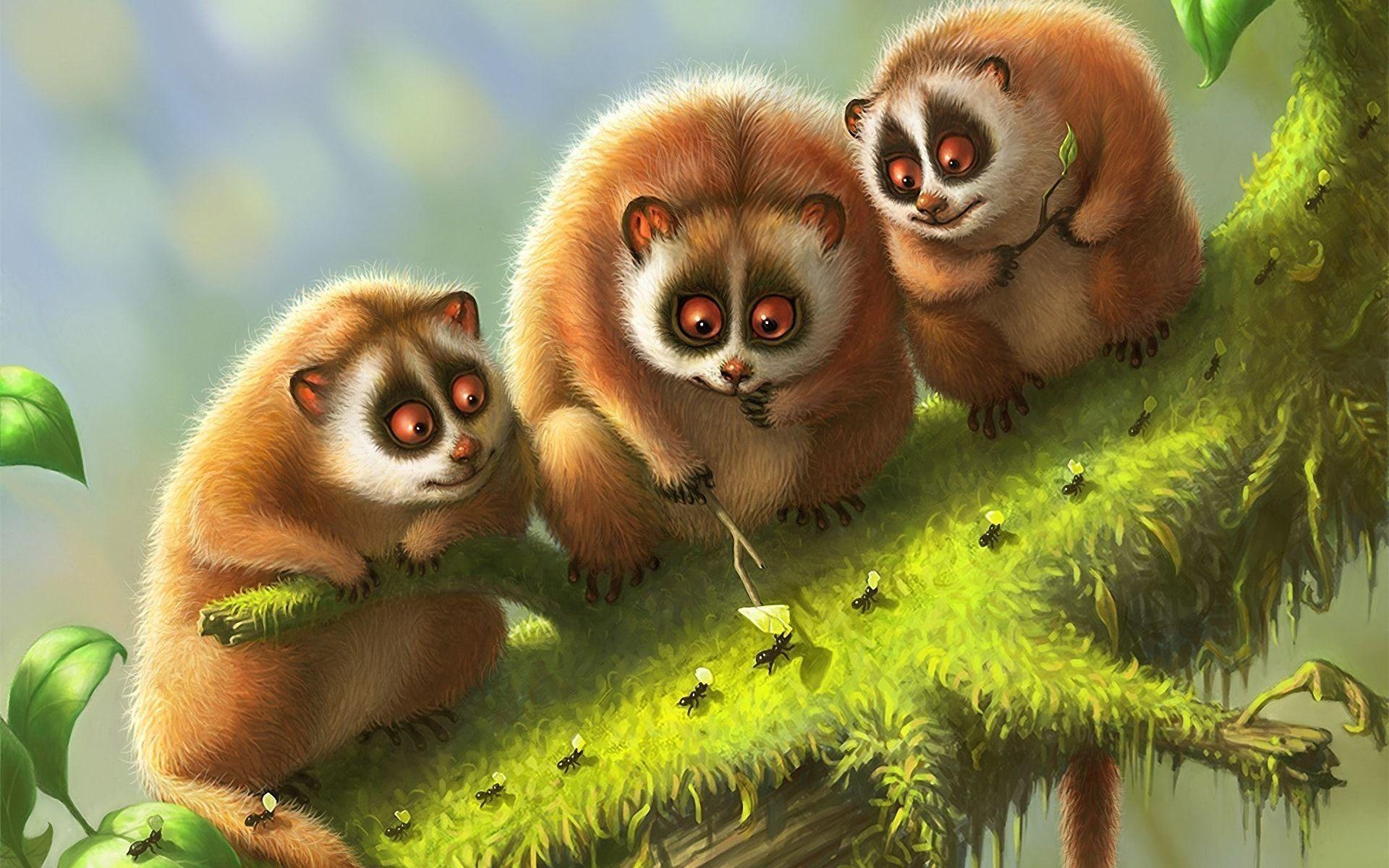 1920x1200 Slow Loris Wallpaper