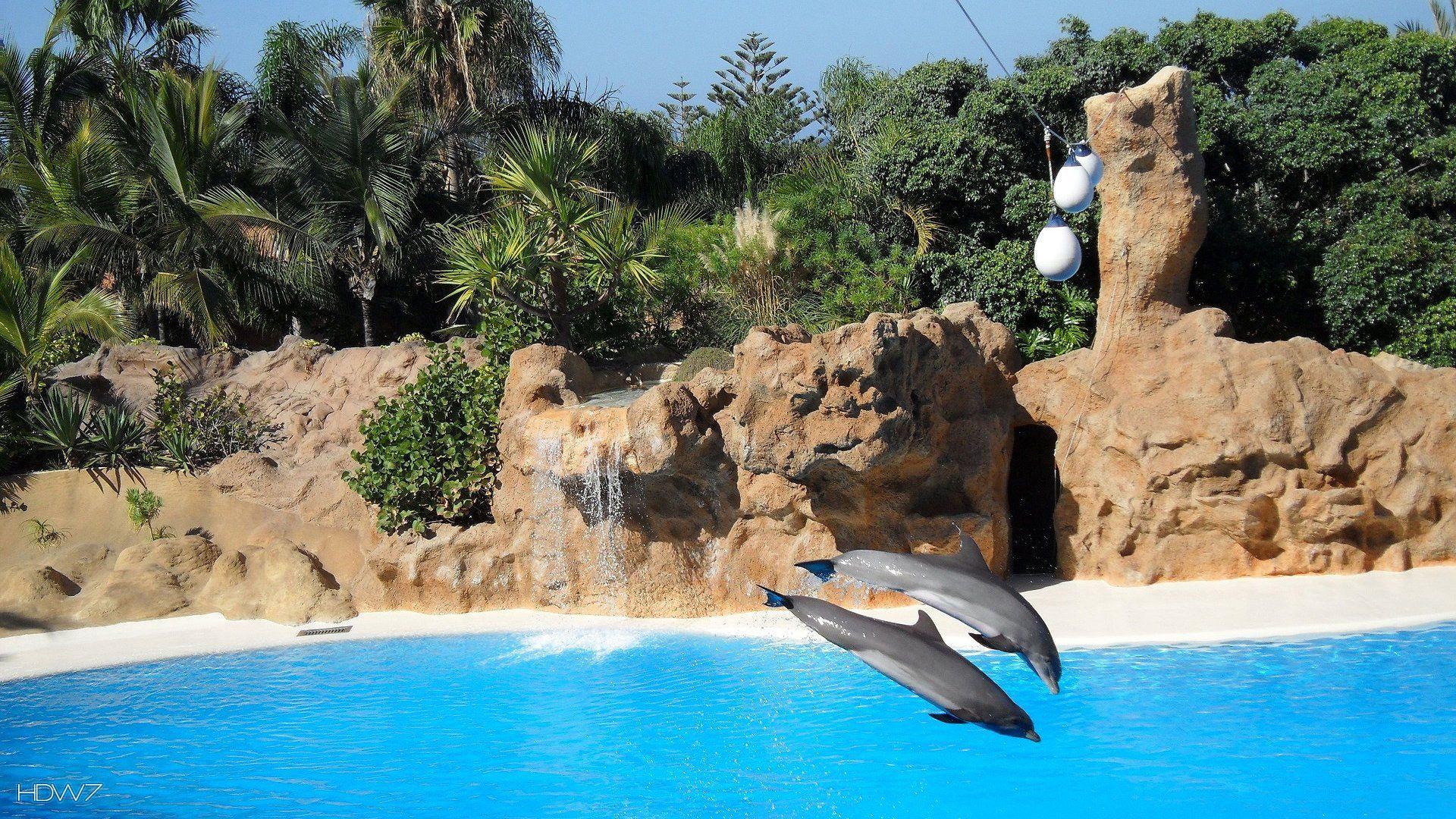 1920x1080 tenerife beach 1920x1080. HD wallpaper gallery